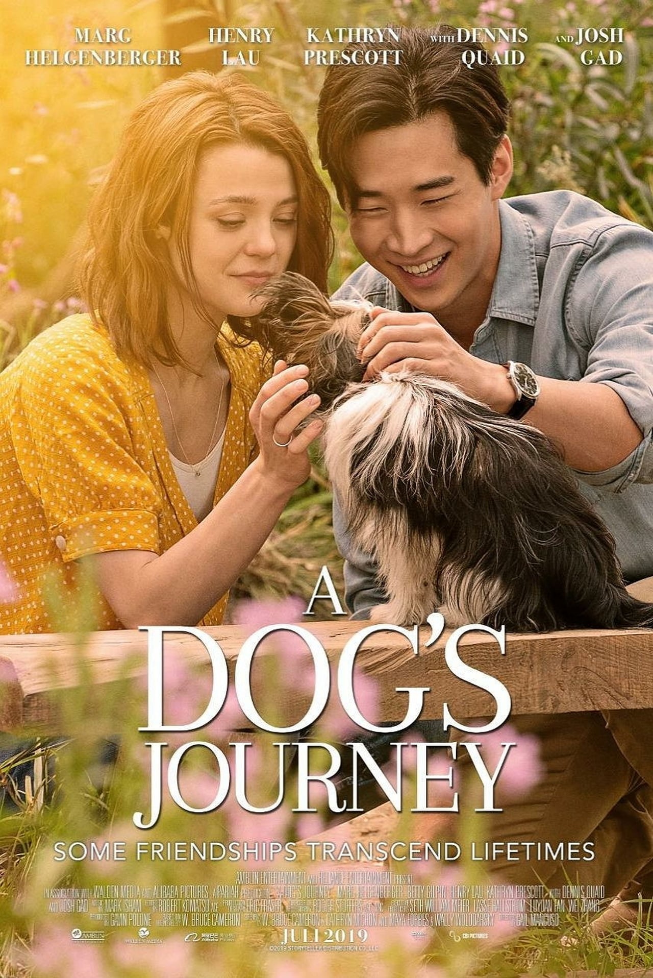 A Dog's Journey (2019) 192Kbps 23.976Fps 48Khz 2.0Ch DigitalTV Turkish Audio TAC