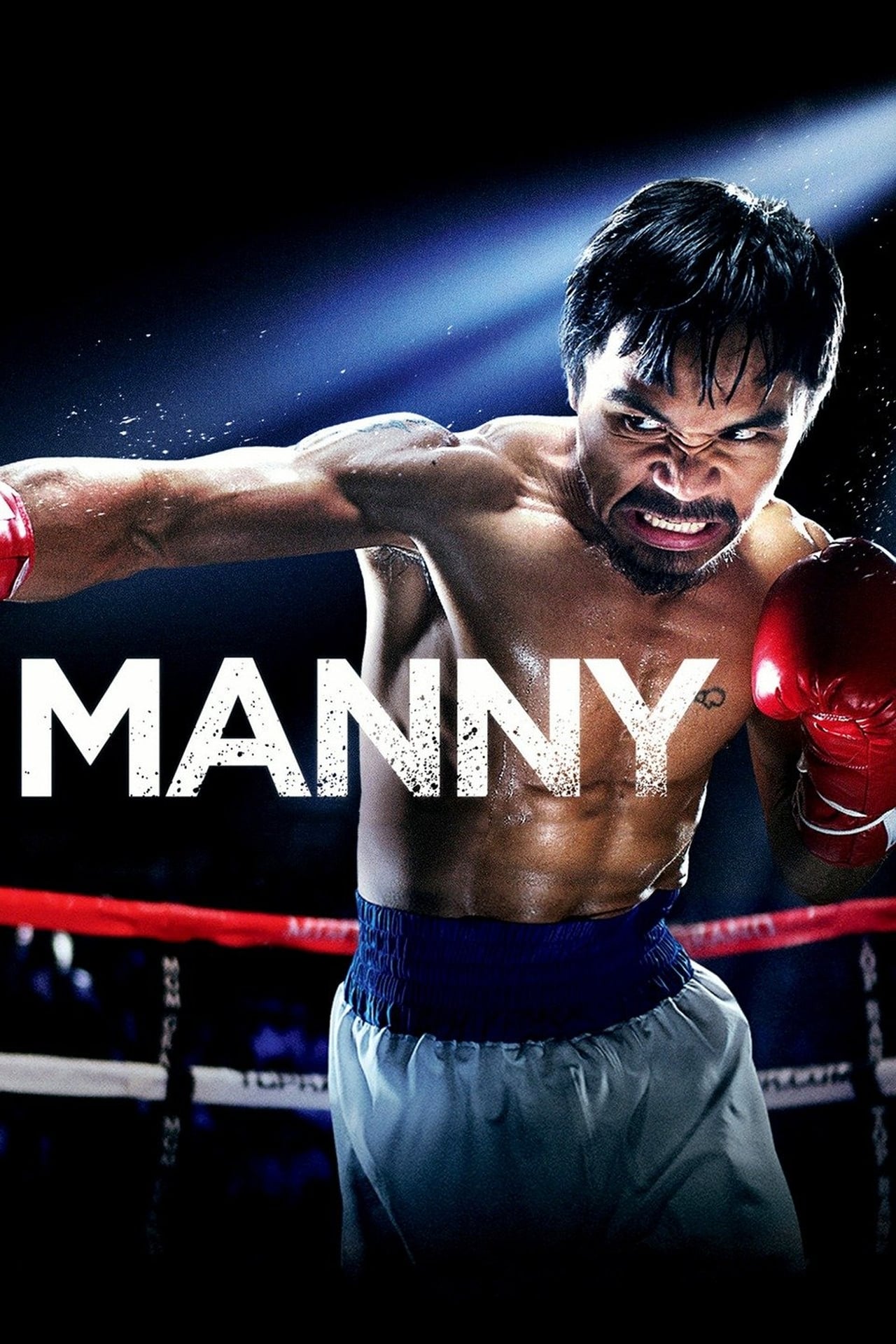Manny (2014) 192Kbps 23.976Fps 48Khz 2.0Ch DVD Turkish Audio TAC