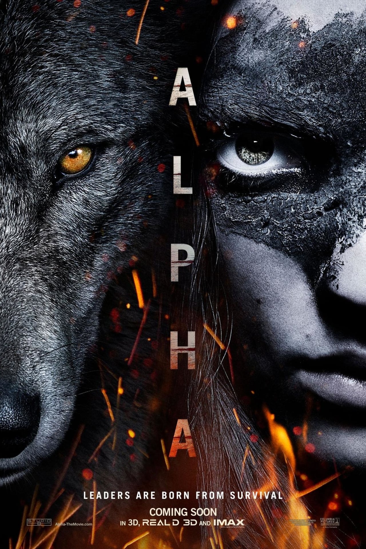 Alpha (2018) Theatrical Cut 128Kbps 23.976Fps 48Khz 2.0Ch DD+ NF E-AC3 Turkish Audio TAC