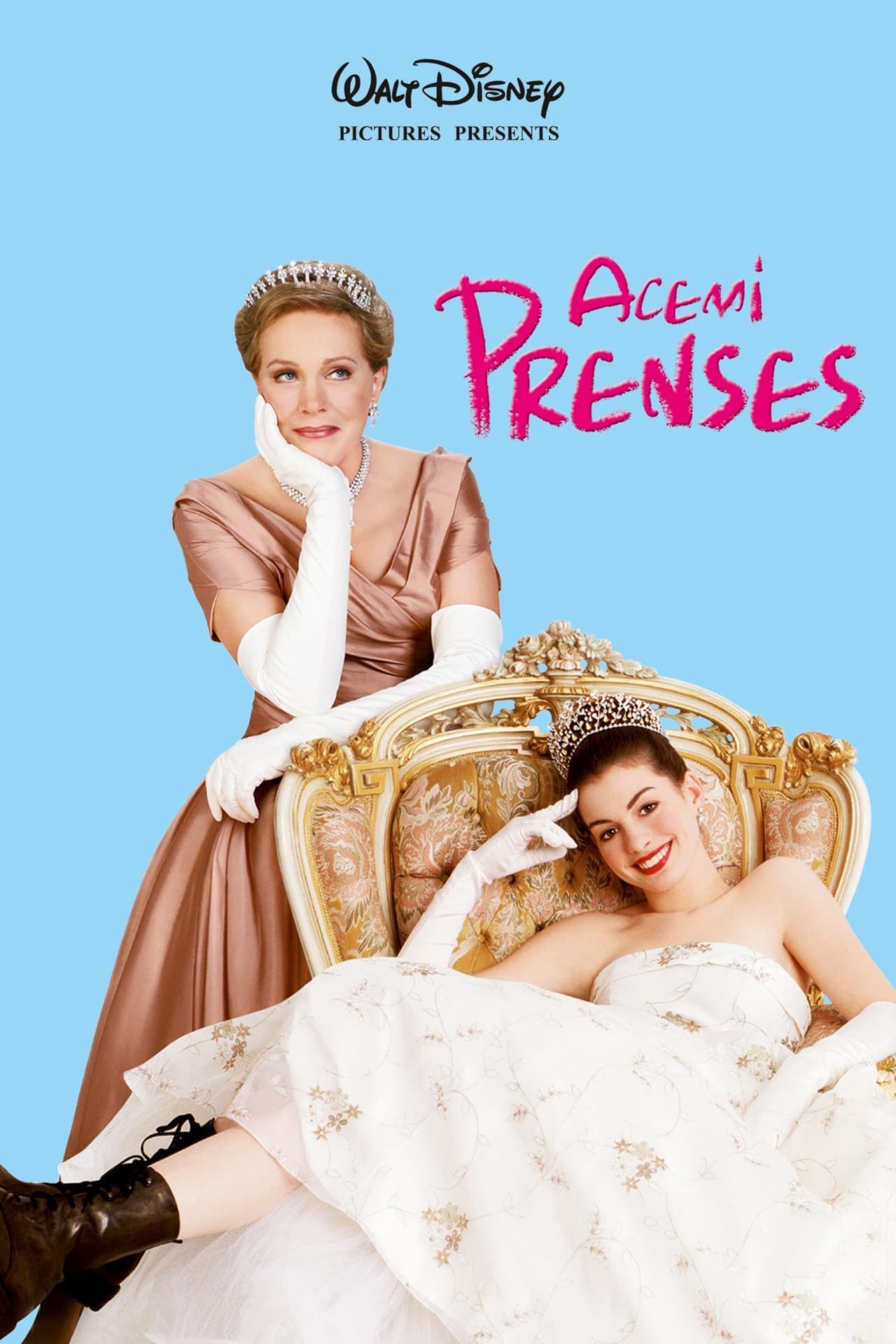 The Princess Diaries (2001) 128Kbps 23.976Fps 48Khz 2.0Ch Disney+ DD+ E-AC3 Turkish Audio TAC