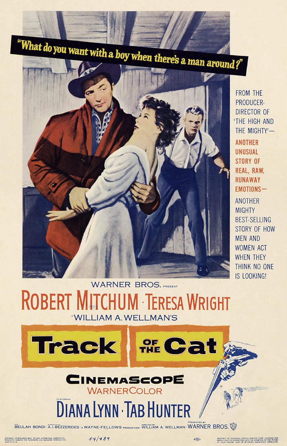 Track of the Cat (1954) 192Kbps 23.976Fps 48Khz 2.0Ch DigitalTV Turkish Audio TAC