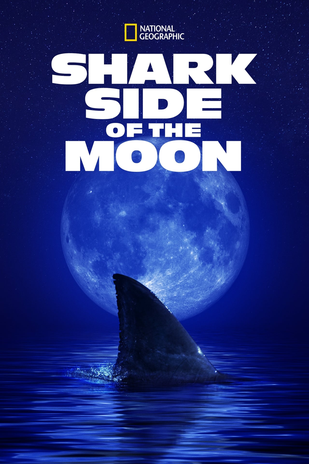 Shark Side of the Moon (2022) 128Kbps 23.976Fps 48Khz 2.0Ch Disney+ DD+ E-AC3 Turkish Audio TAC