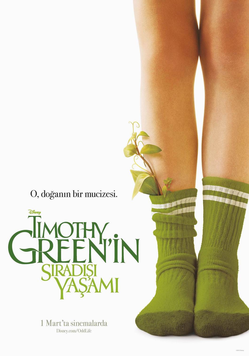 The Odd Life of Timothy Green (2012) 192Kbps 23.976Fps 48Khz 2.0Ch iTunes Turkish Audio TAC