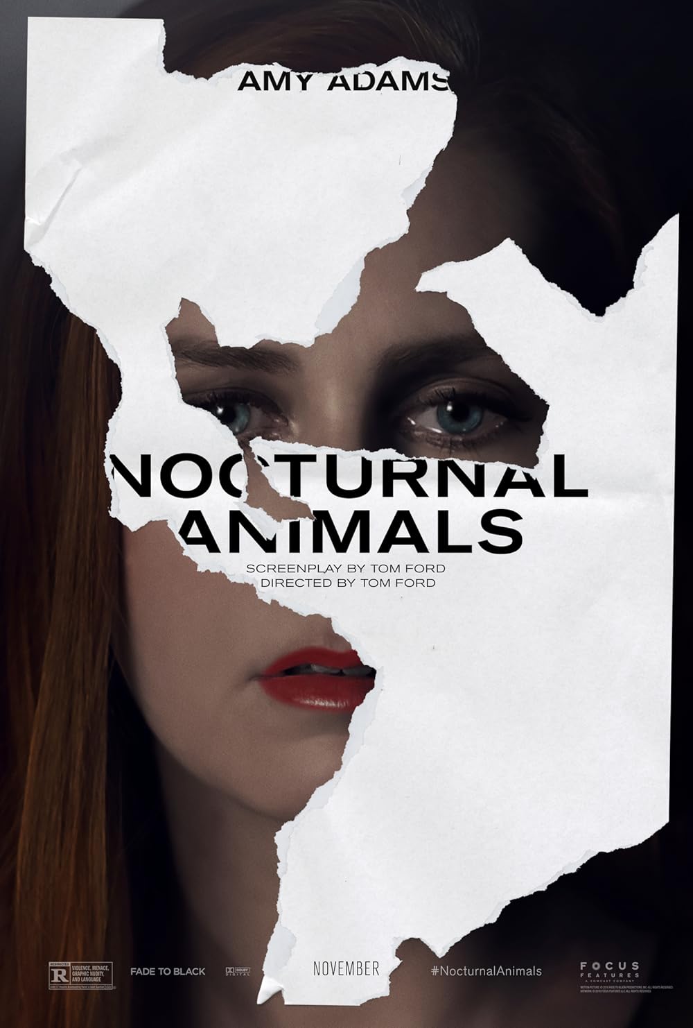 Nocturnal Animals (2016) 192Kbps 23.976Fps 48Khz 2.0Ch DigitalTV Turkish Audio TAC