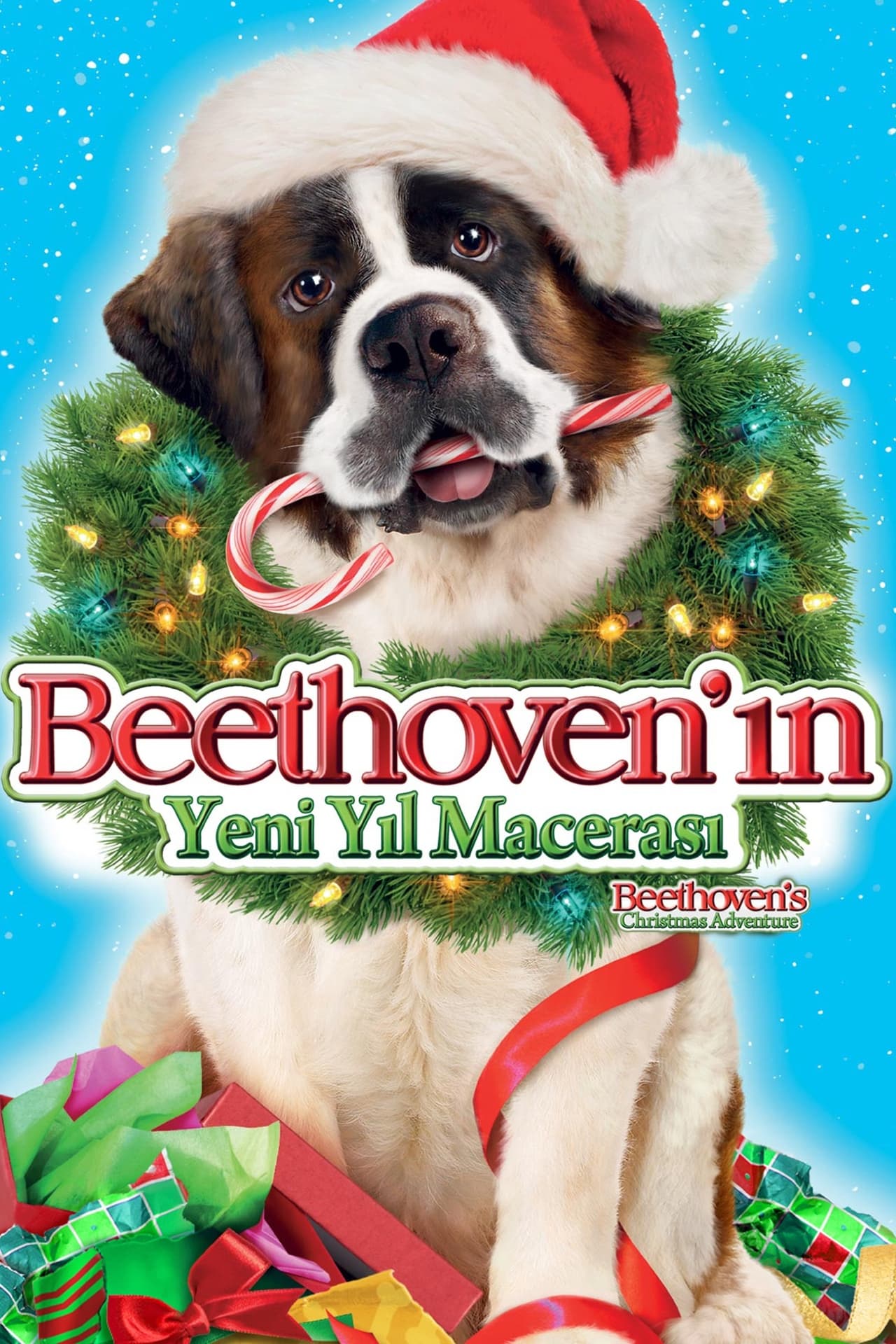 Beethoven's Christmas Adventure (2011) 640Kbps 23.976Fps 48Khz 5.1Ch DD+ NF E-AC3 Turkish Audio TAC