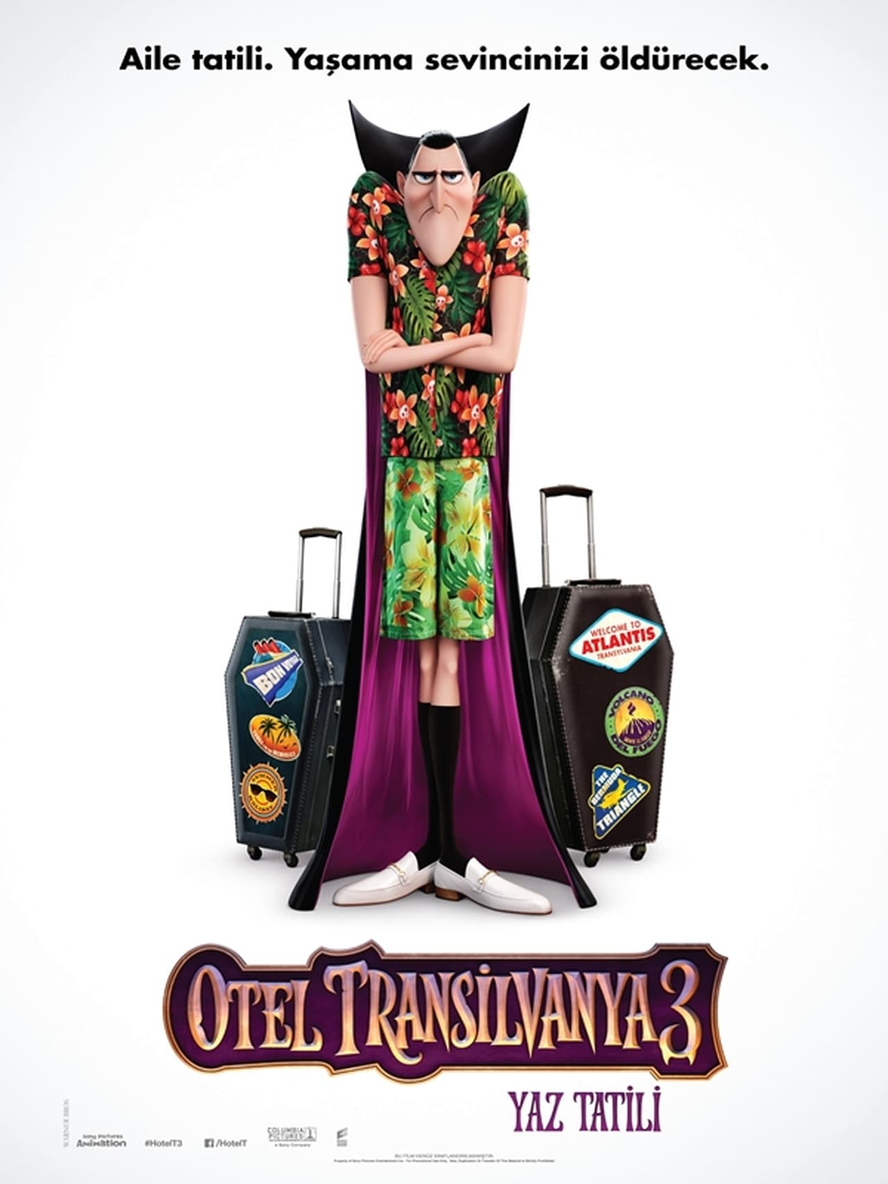 Hotel Transylvania 3: Summer Vacation (2018) 384Kbps 23.976Fps 48Khz 5.1Ch iTunes Turkish Audio TAC