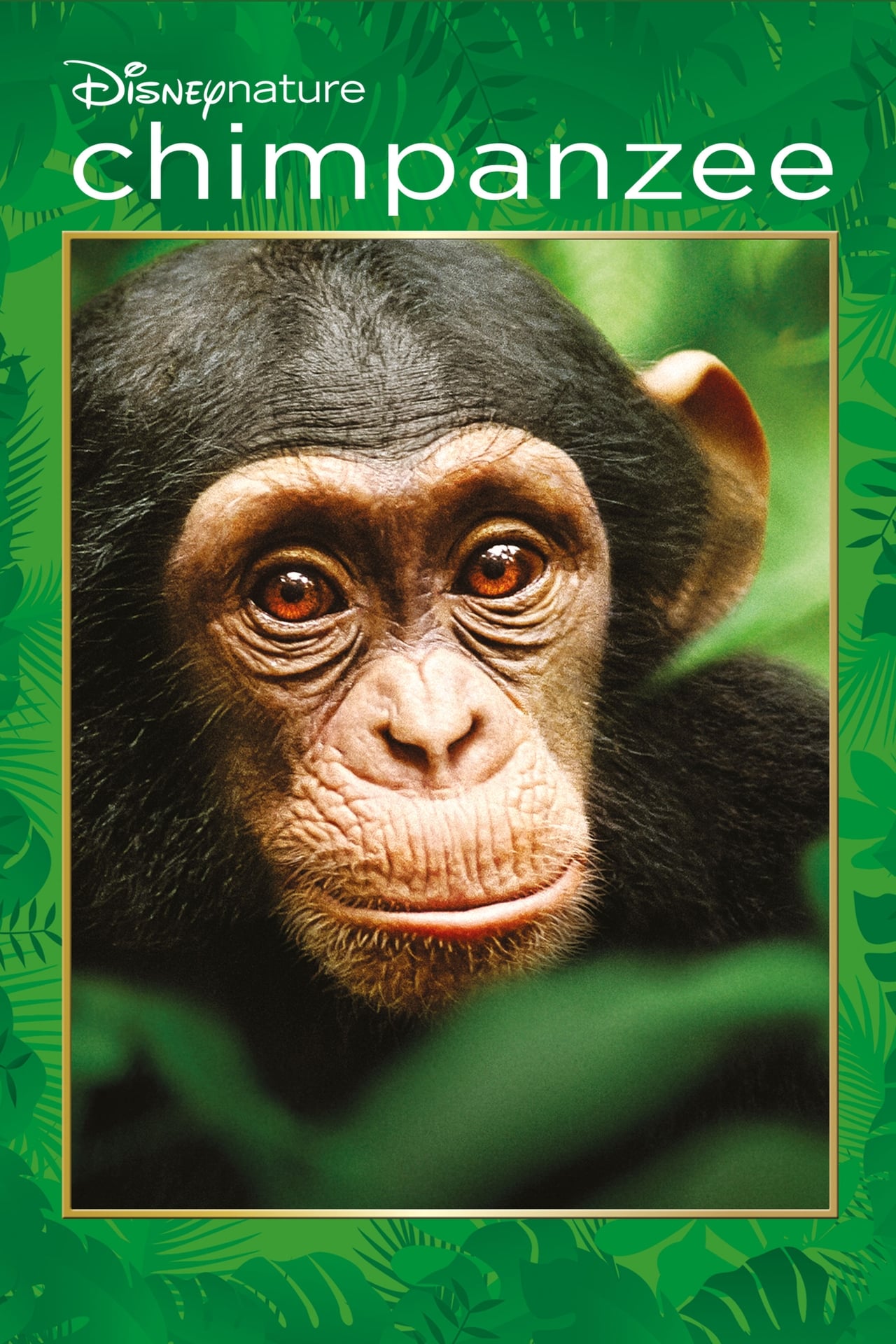 Chimpanzee (2012) 768Kbps 23.976Fps 48Khz 5.1Ch BluRay Turkish Audio TAC