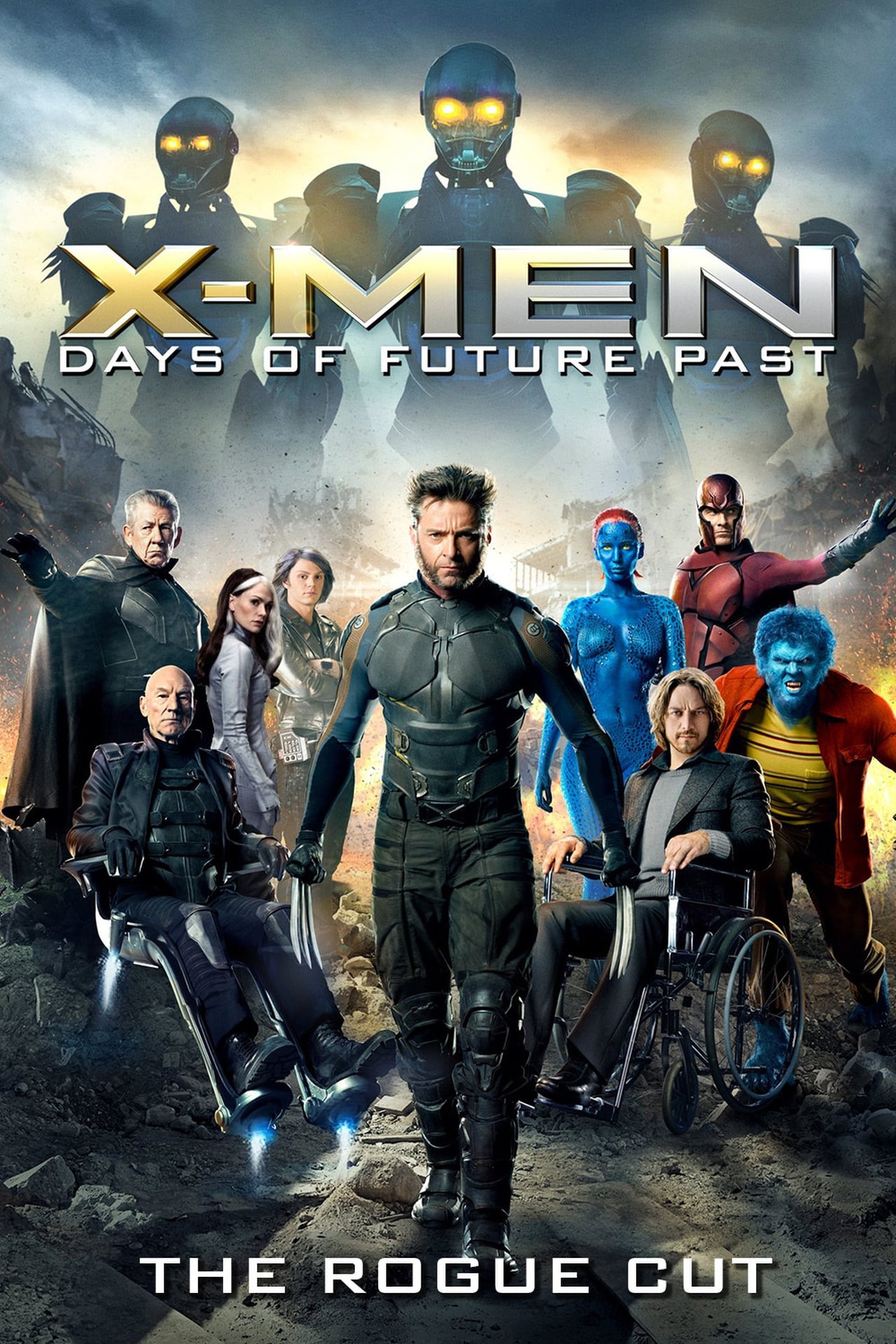X-Men: Days of Future Past (2014) Rogue Cut 448Kbps 23.976Fps 48Khz 5.1Ch BluRay Turkish Audio TAC