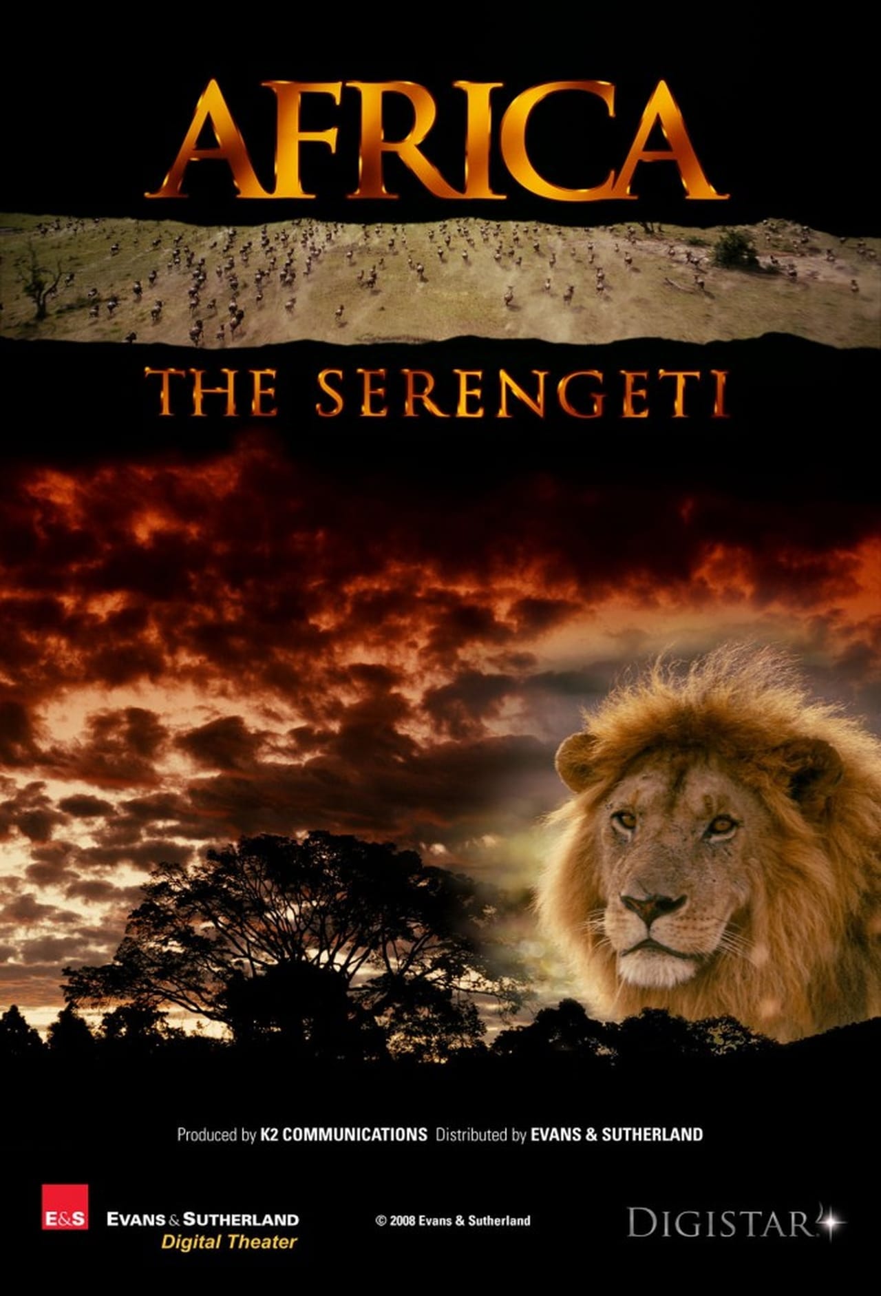Africa: The Serengeti (1994) 640Kbps 24Fps 48Khz 5.1Ch BluRay Turkish Audio TAC