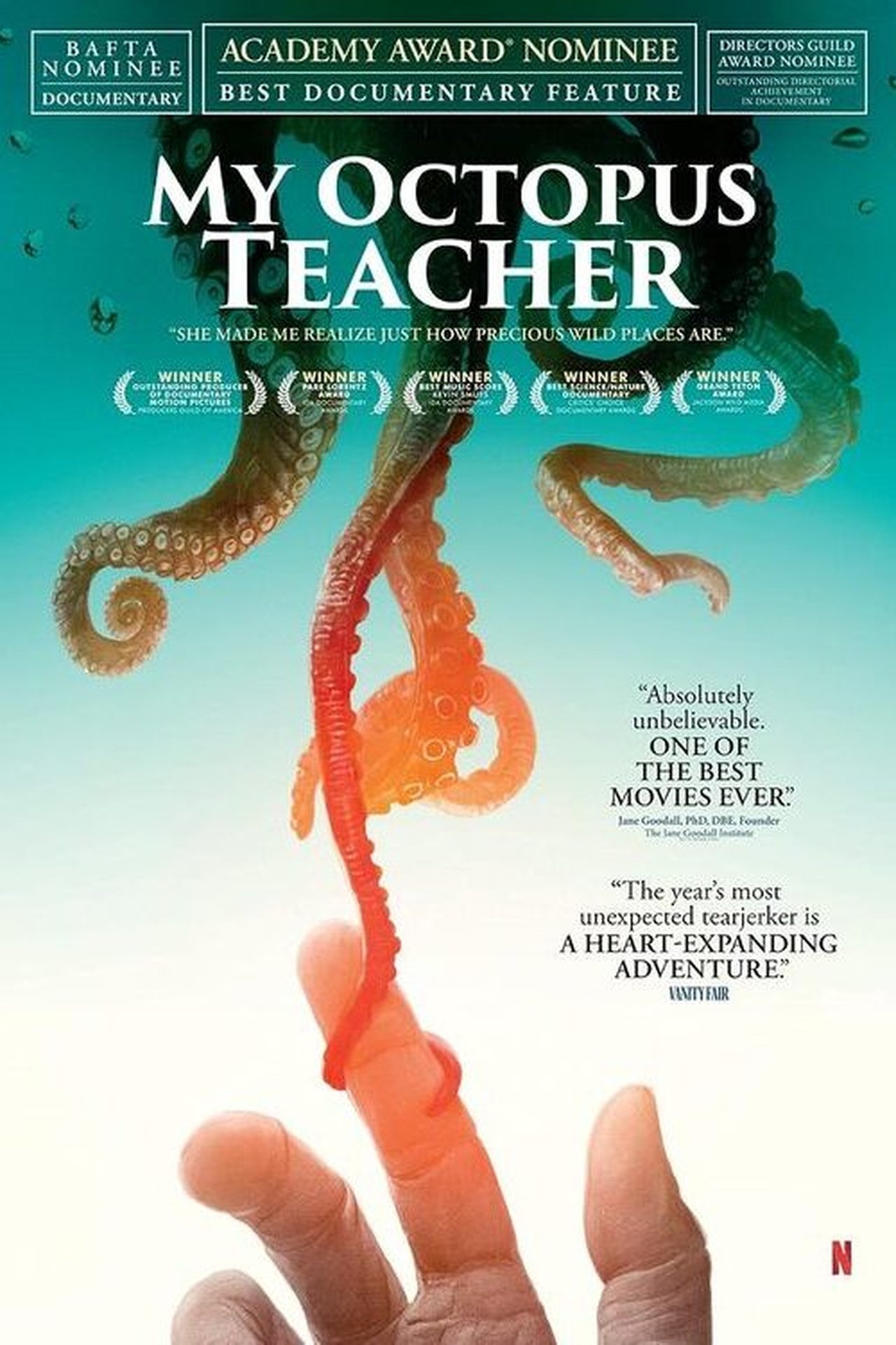 My Octopus Teacher (2020) 640Kbps 25Fps 48Khz 5.1Ch DD+ NF E-AC3 Turkish Audio TAC