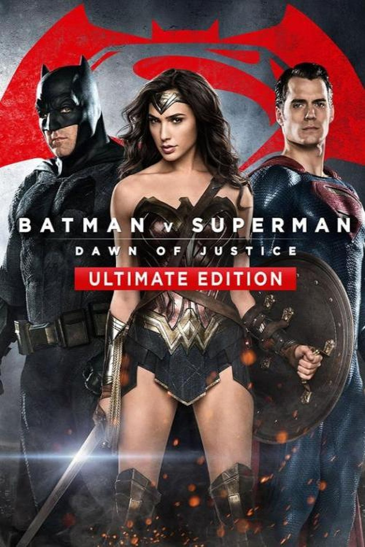 Batman v Superman: Dawn of Justice (2016) Extended Cut & Ultimate Edition 384Kbps 23.976Fps 48Khz 5.1Ch iTunes Turkish Audio TAC