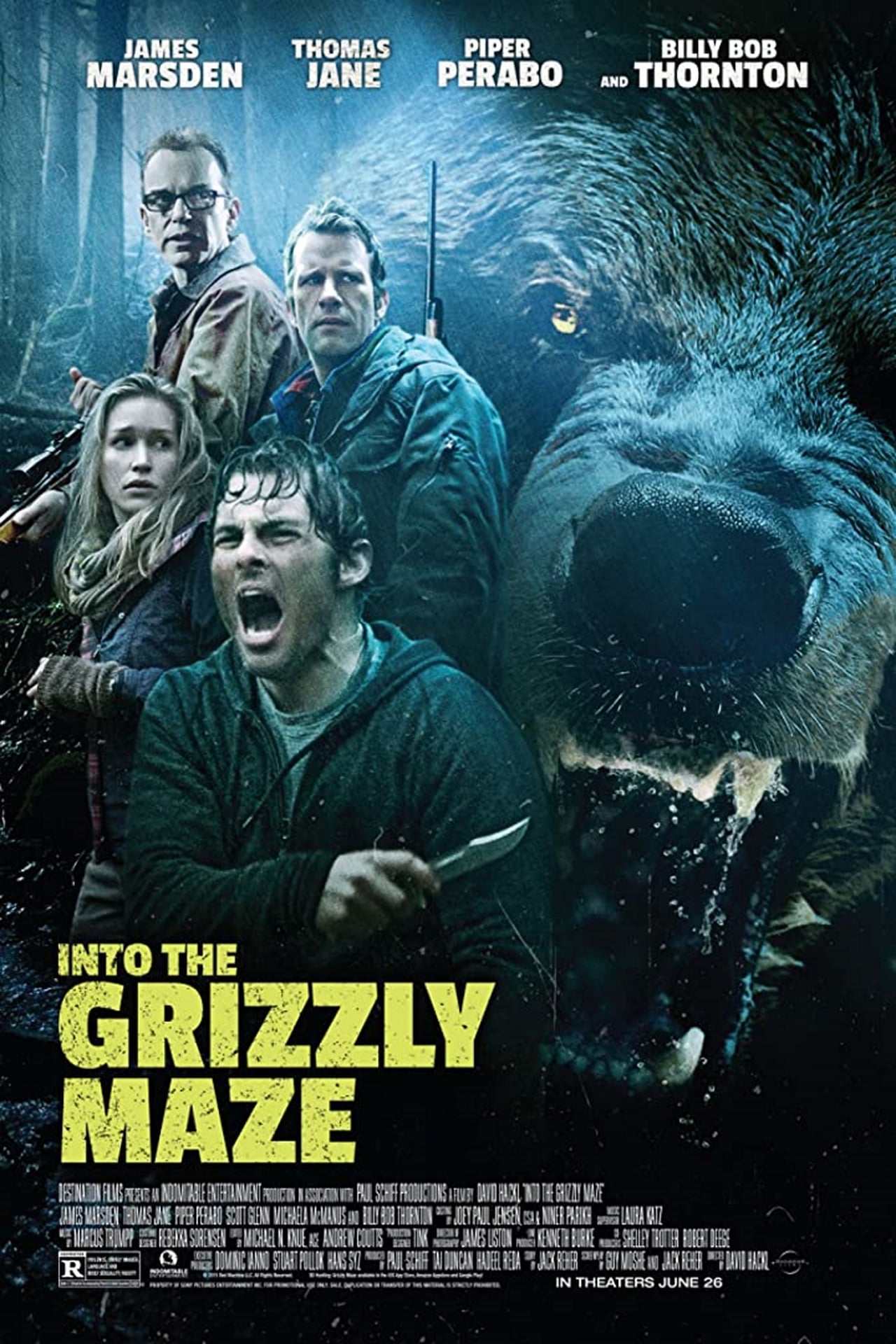 Into the Grizzly Maze (2015) 192Kbps 23.976Fps 48Khz 2.0Ch DVD Turkish Audio TAC