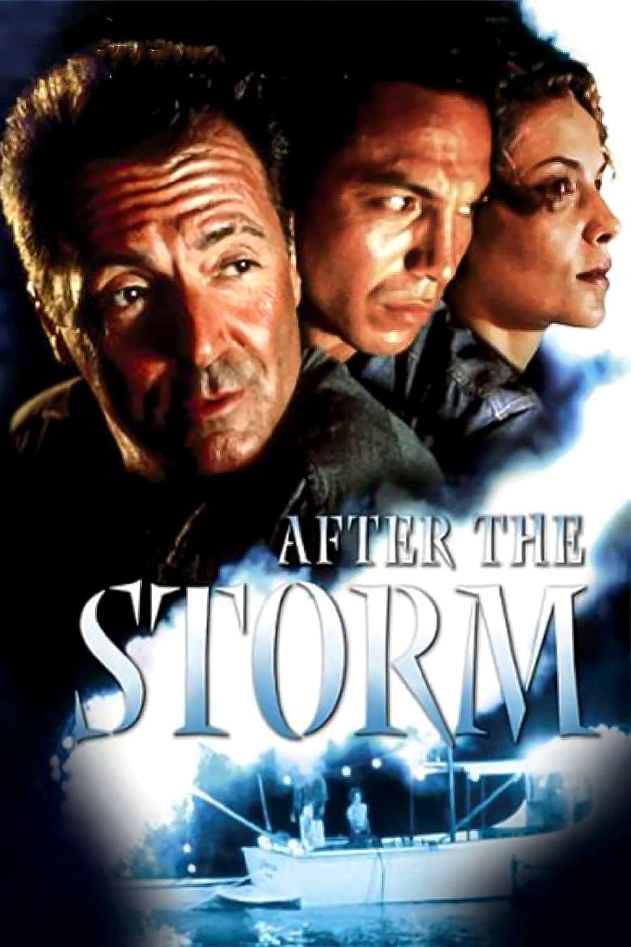 After the Storm (2001) 192Kbps 23.976Fps 48Khz 2.0Ch DigitalTV Turkish Audio TAC