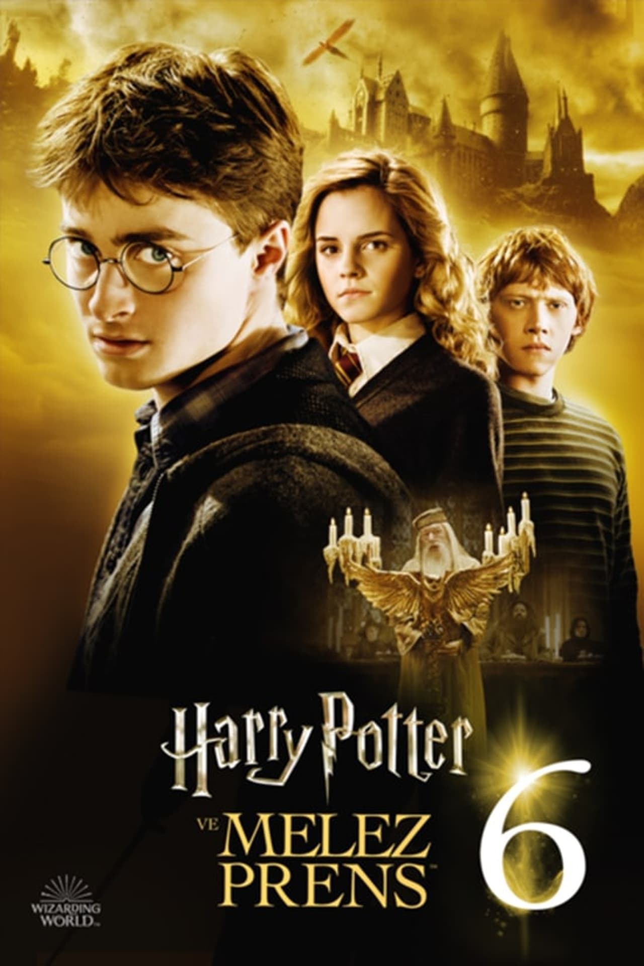 Harry Potter and the Half-Blood Prince (2009) 128Kbps 23.976Fps 48Khz 2.0Ch DD+ NF E-AC3 Turkish Audio TAC