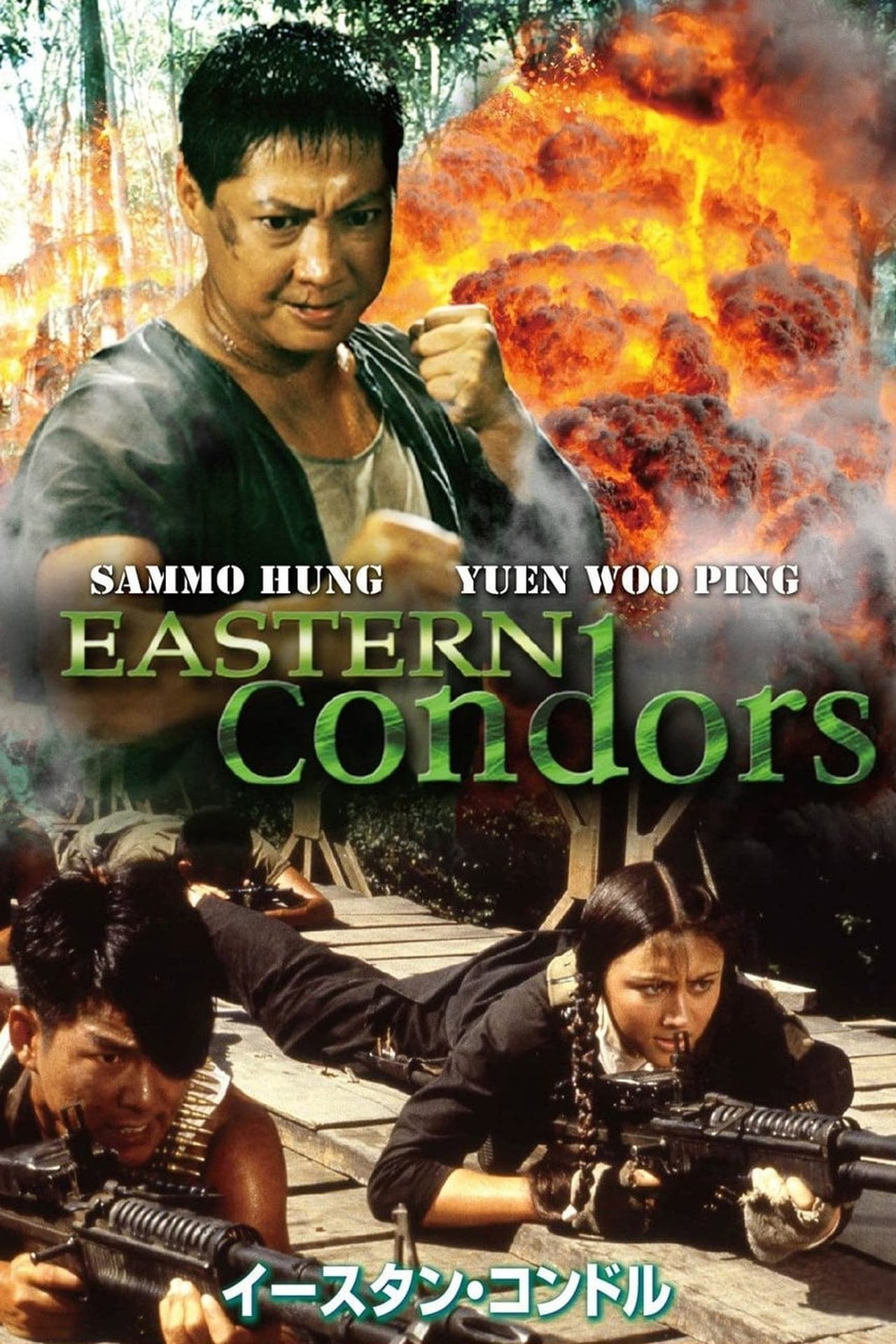 Eastern Condors (1987) (Dung fong tuk ying) 192Kbps 23.976Fps 48Khz 2.0Ch VHS Turkish Audio TAC