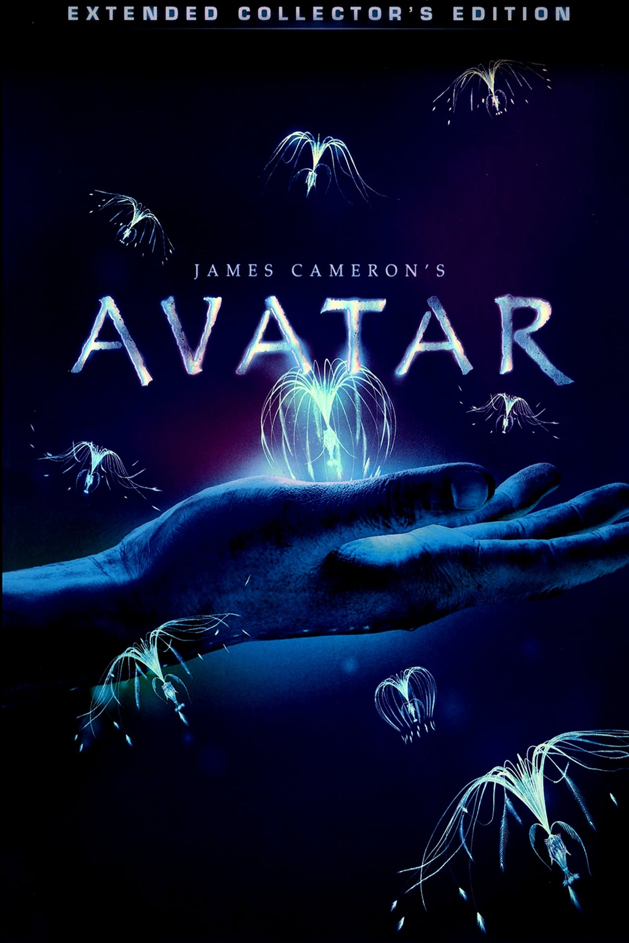 Avatar (2009) Extended Cut 384Kbps 23.976Fps 48Khz 5.1Ch BluRay Turkish Audio TAC