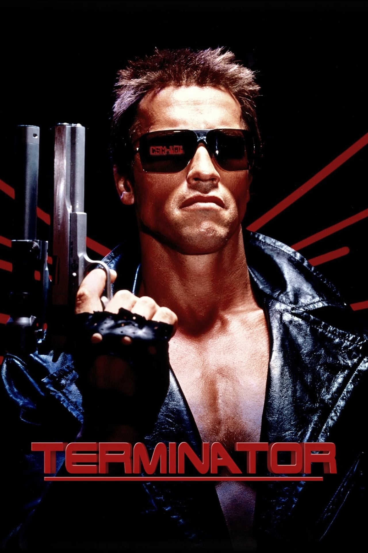 The Terminator (1984) Extended Cut 640Kbps 23.976Fps 48Khz 5.1Ch BluRay Turkish Audio TAC