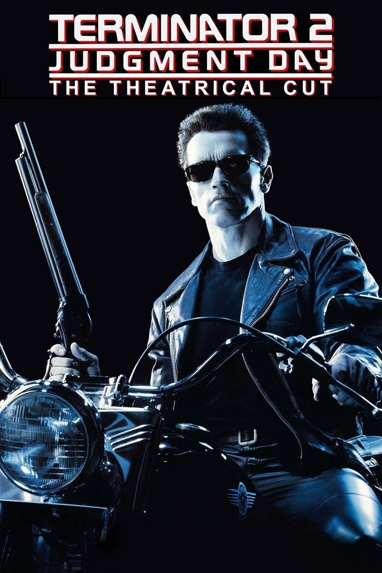 Terminator 2: Judgment Day (1991) Theatrical Cut 448Kbps 23.976Fps 48Khz 5.1Ch DVD Turkish Audio TAC