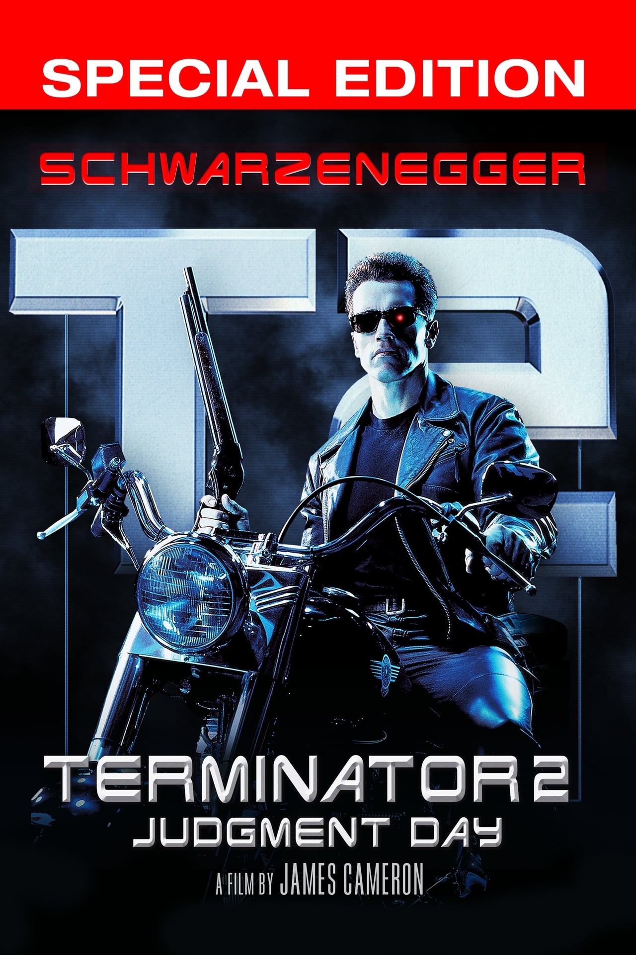 Terminator 2: Judgment Day (1991) Special Edition 384Kbps 23.976Fps 48Khz 5.1Ch DVD Turkish Audio TAC
