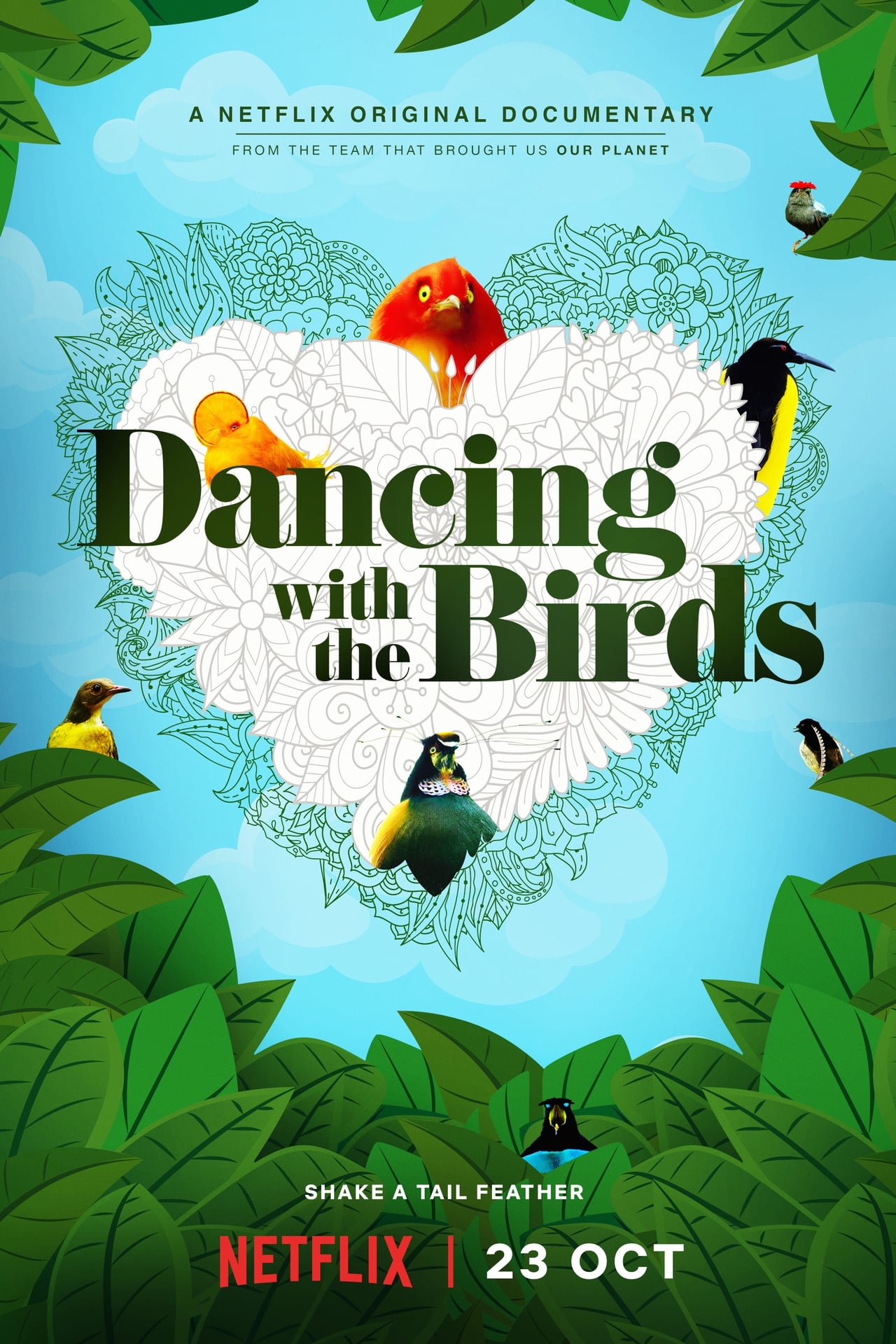 Dancing with the Birds (2019) 640Kbps 23.976Fps 48Khz 5.1Ch DD+ NF E-AC3 Turkish Audio TAC