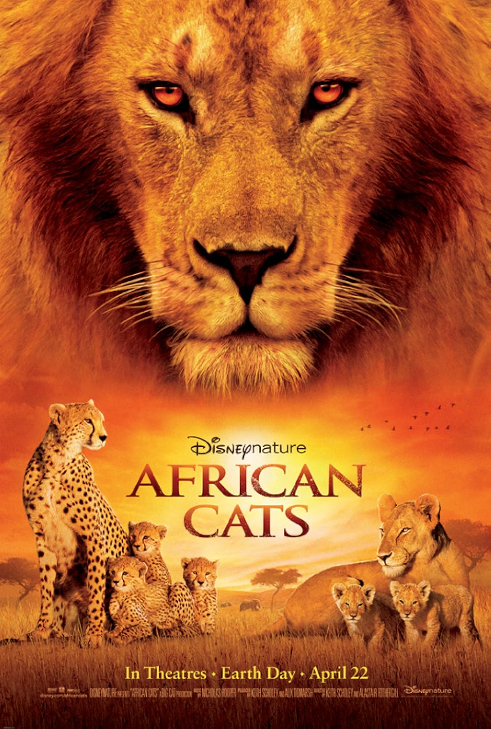 African Cats (2011) 256Kbps 23.976Fps 48Khz 5.1Ch Disney+ DD+ E-AC3 Turkish Audio TAC