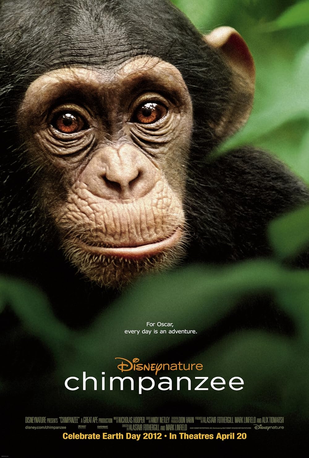 Chimpanzee (2012) 256Kbps 23.976Fps 48Khz 5.1Ch Disney+ DD+ E-AC3 Turkish Audio TAC