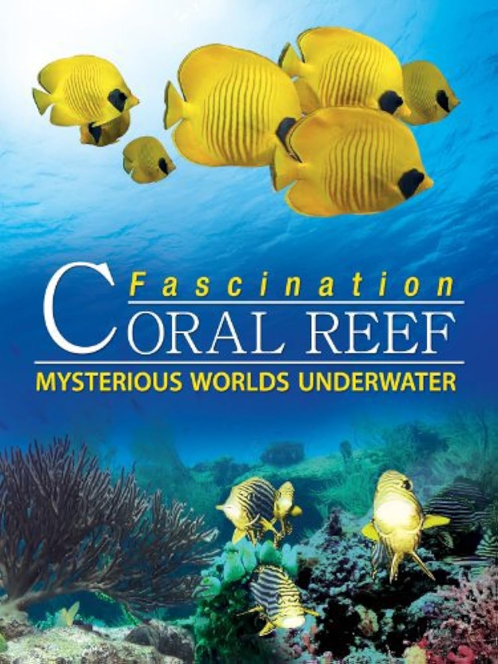 Fascination Coral Reef: Mysterious Worlds Underwater (2012) 448Kbps 23.976Fps 48Khz 5.1Ch BluRay Turkish Audio TAC