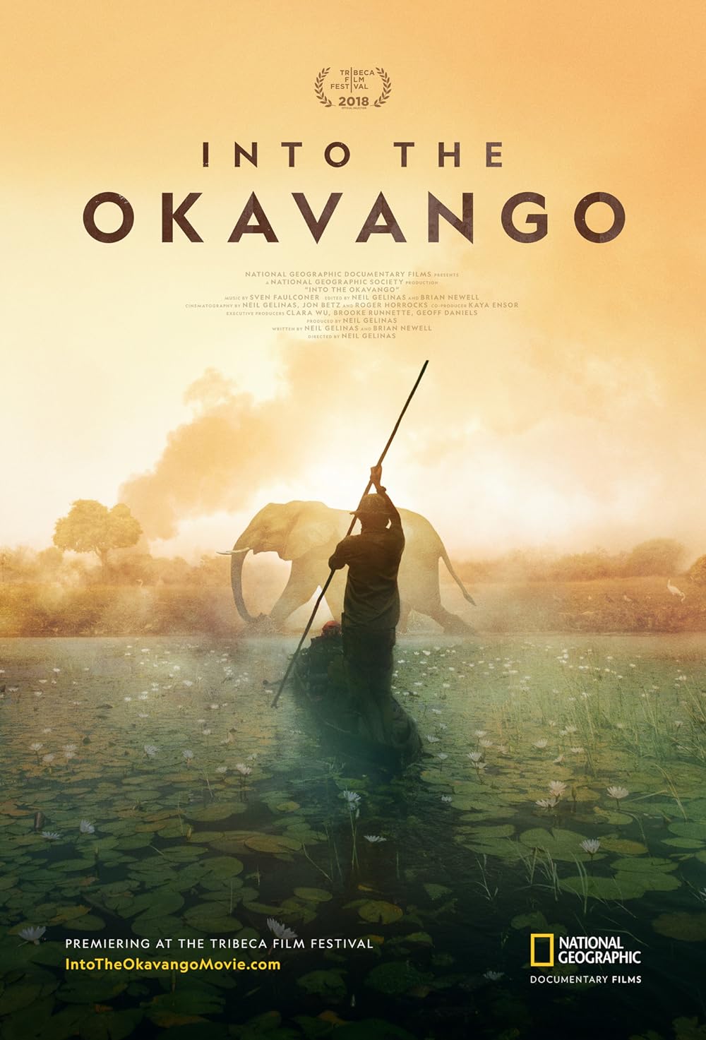 Into the Okavango (2018) 128Kbps 23.976Fps 48Khz 2.0Ch Disney+ DD+ E-AC3 Turkish Audio TAC