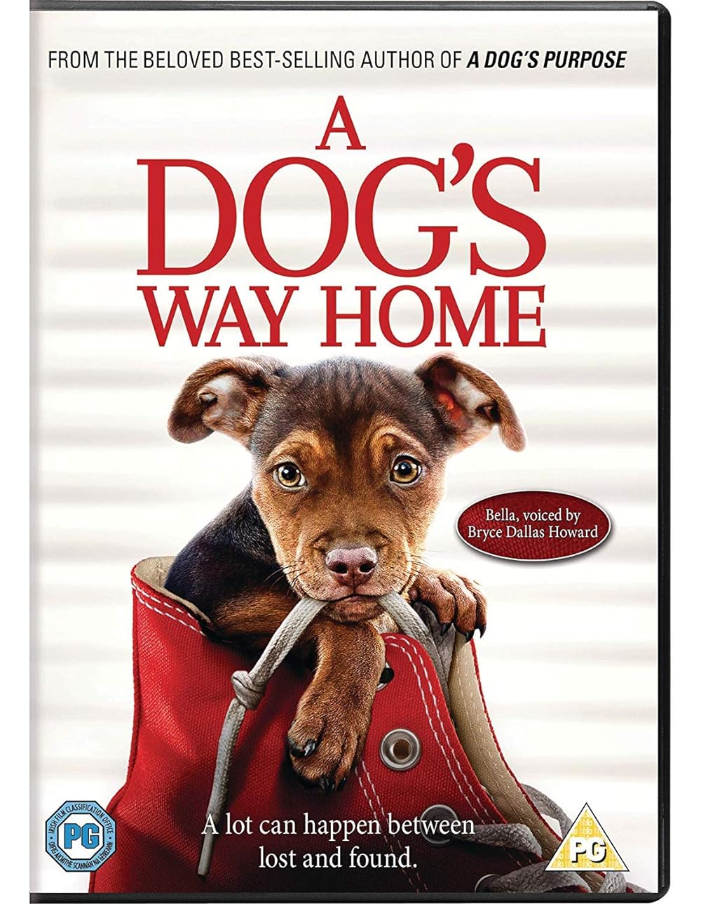 A Dog's Way Home (2019) 640Kbps 23.976Fps 48Khz 5.1Ch DD+ NF E-AC3 Turkish Audio TAC