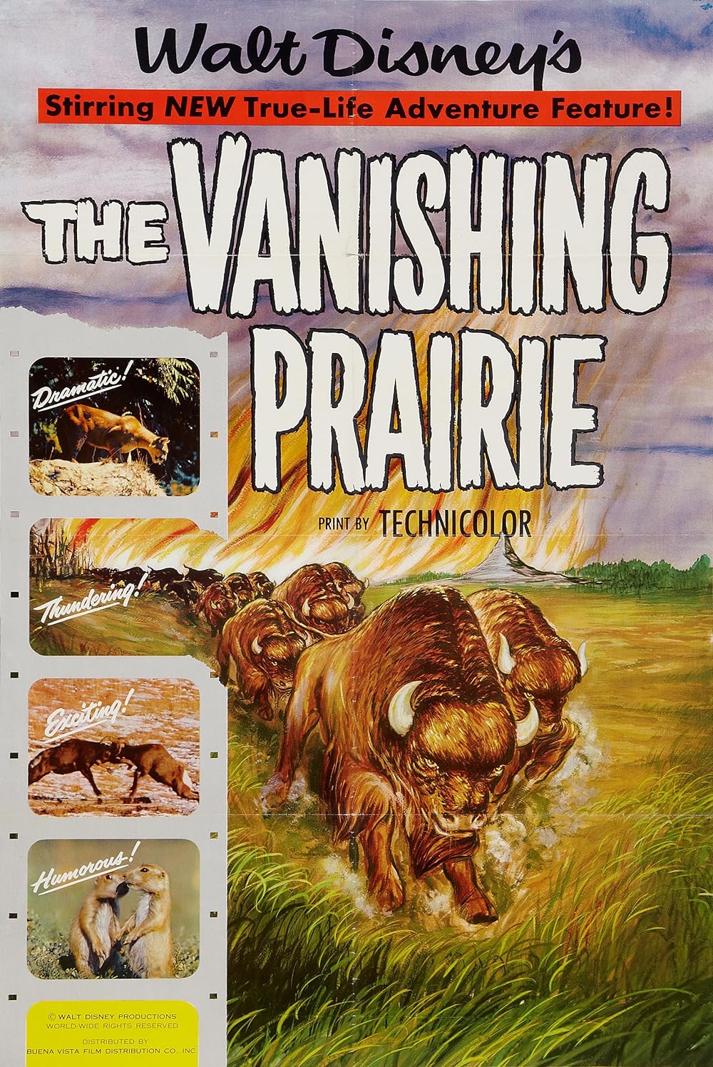 The Vanishing Prairie (1954) 128Kbps 23.976Fps 48Khz 2.0Ch Disney+ DD+ E-AC3 Turkish Audio TAC
