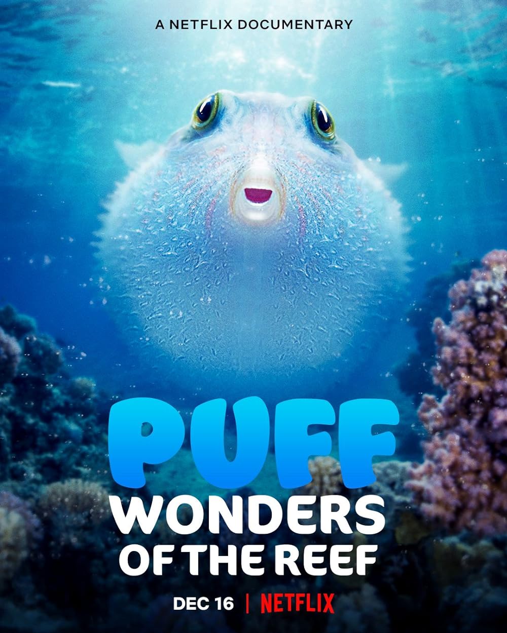Puff: Wonders of the Reef (2021) 640Kbps 24Fps 48Khz 5.1Ch DD+ NF E-AC3 Turkish Audio TAC