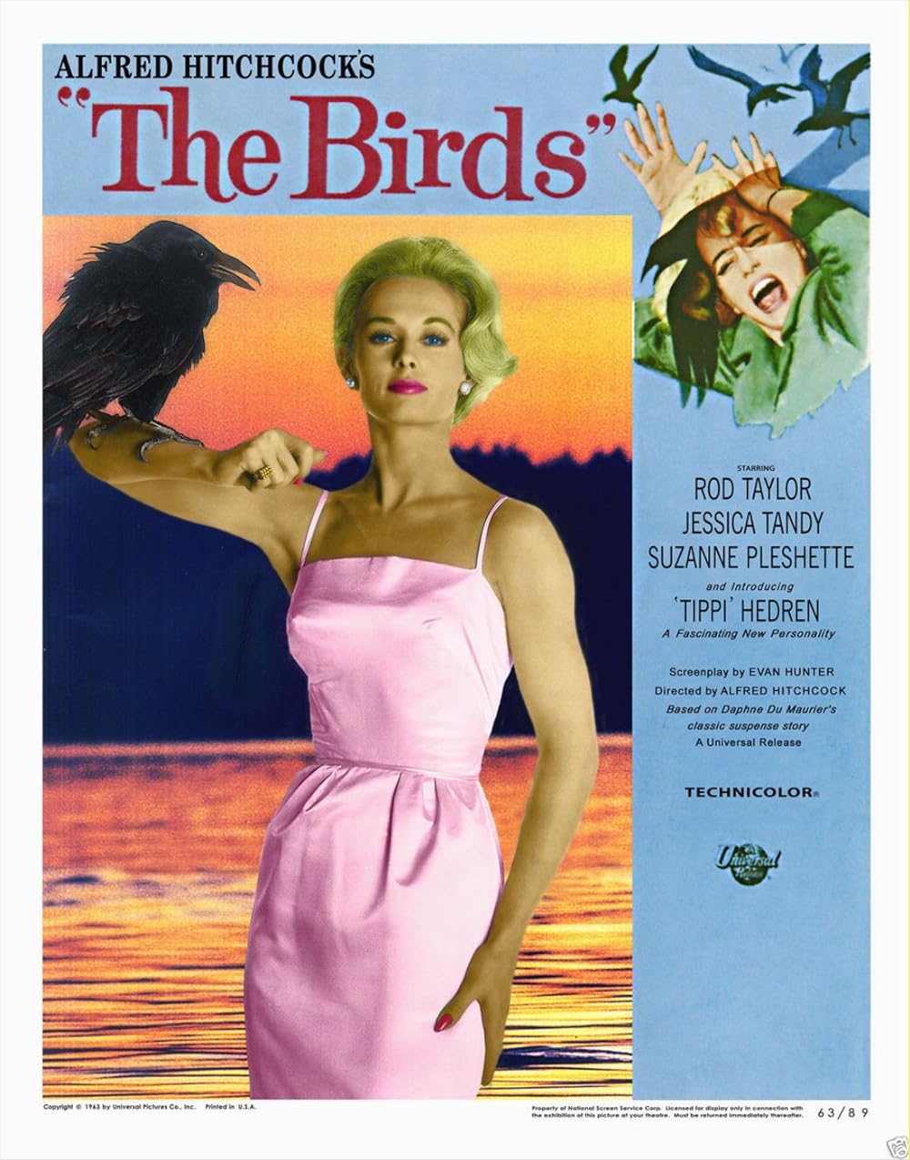 The Birds (1963) 447Kbps 23.976Fps 48Khz 2.0Ch BluRay Turkish Audio TAC