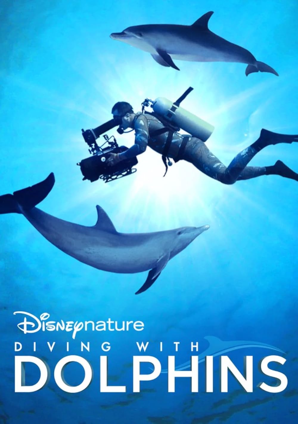 Diving with Dolphins (2020) 256Kbps 23.976Fps 48Khz 5.1Ch Disney+ DD+ E-AC3 Turkish Audio TAC