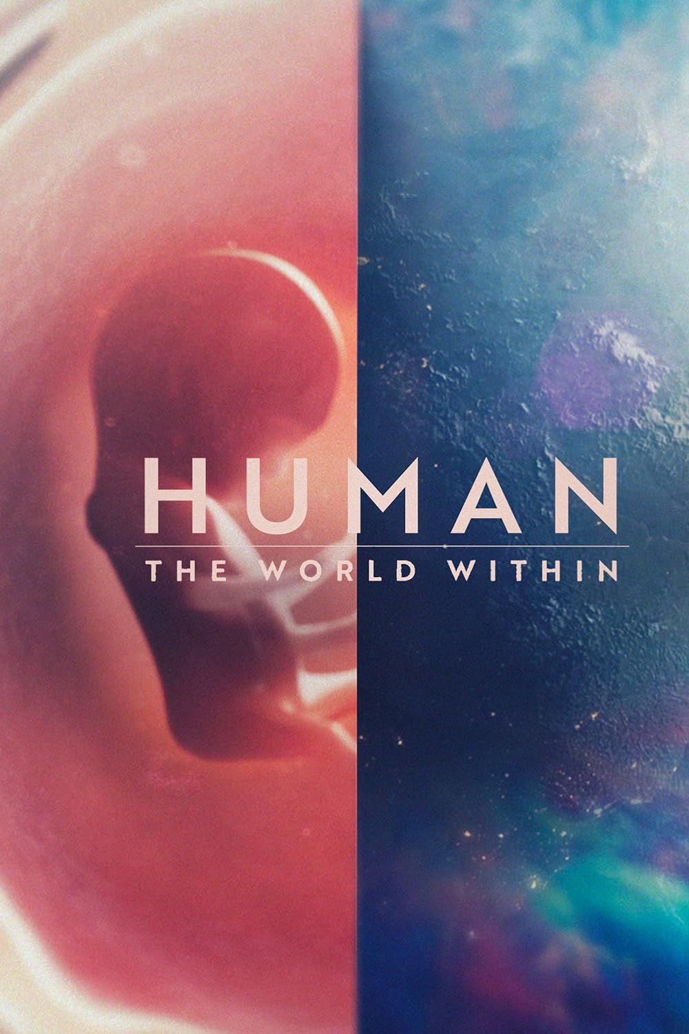 Human: The World Within (2021) S1 EP5 Sense 640Kbps 23.976Fps 48Khz 5.1Ch DD+ NF E-AC3 Turkish Audio TAC
