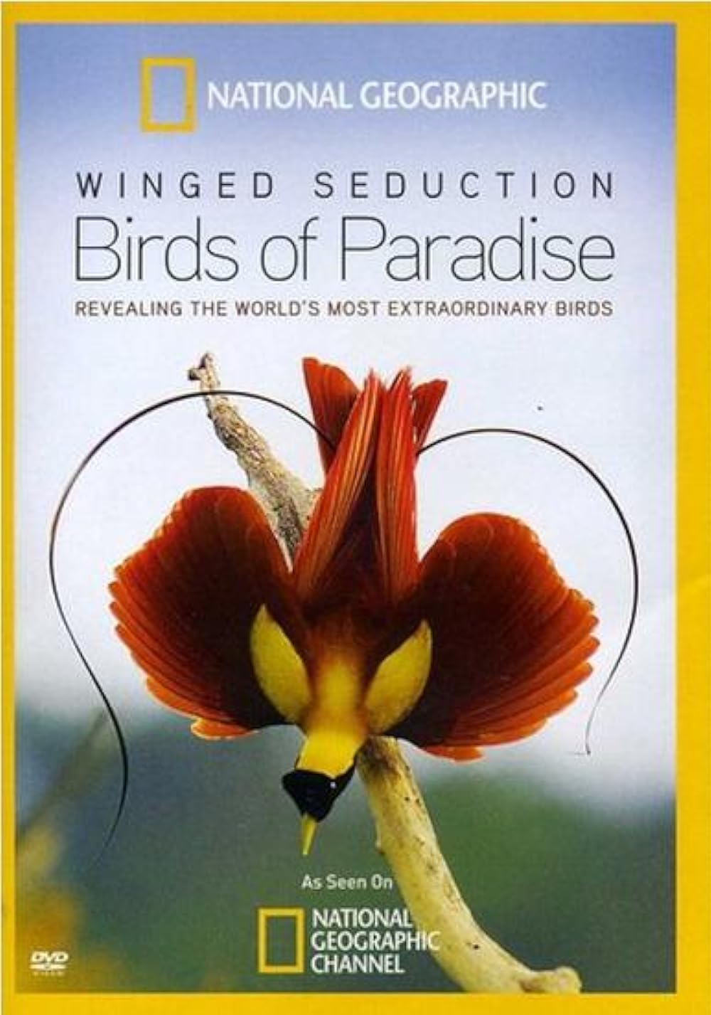 Winged Seduction: Birds of Paradise (2012) 128Kbps 29.970Fps 48Khz 2.0Ch Disney+ DD+ E-AC3 Turkish Audio TAC