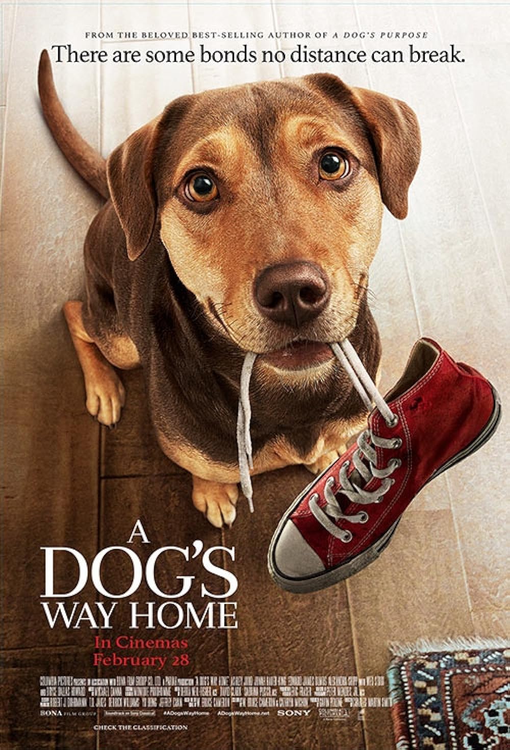 A Dog's Way Home (2019) 384Kbps 23.976Fps 48Khz 5.1Ch iTunes Turkish Audio TAC