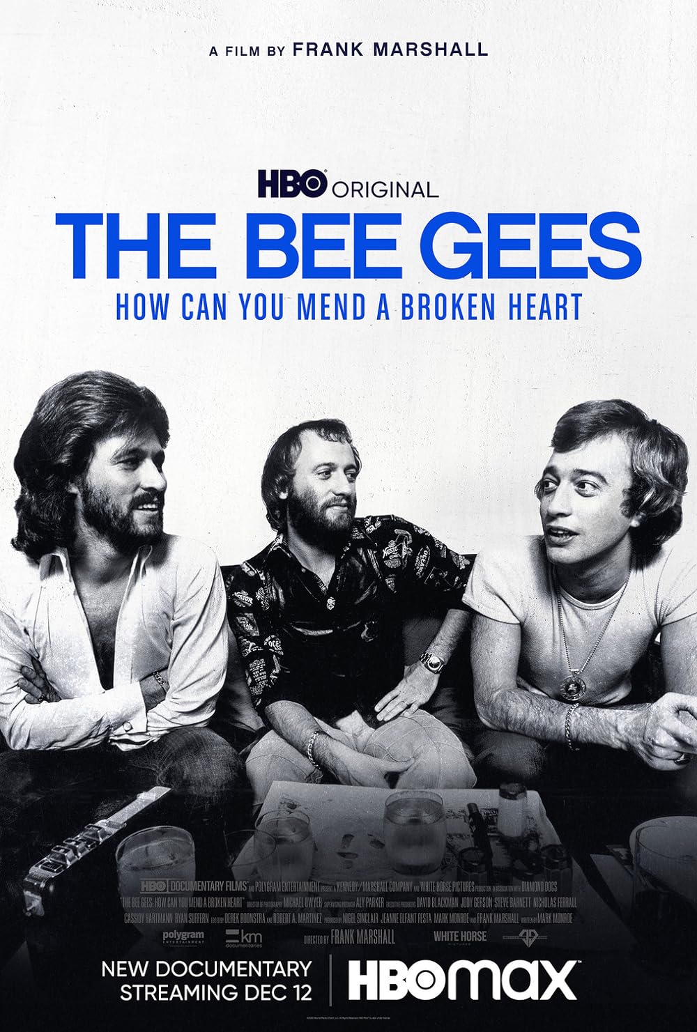 The Bee Gees: How Can You Mend a Broken Heart (2020) 192Kbps 23.976Fps 48Khz 2.0Ch DigitalTV Turkish Audio TAC
