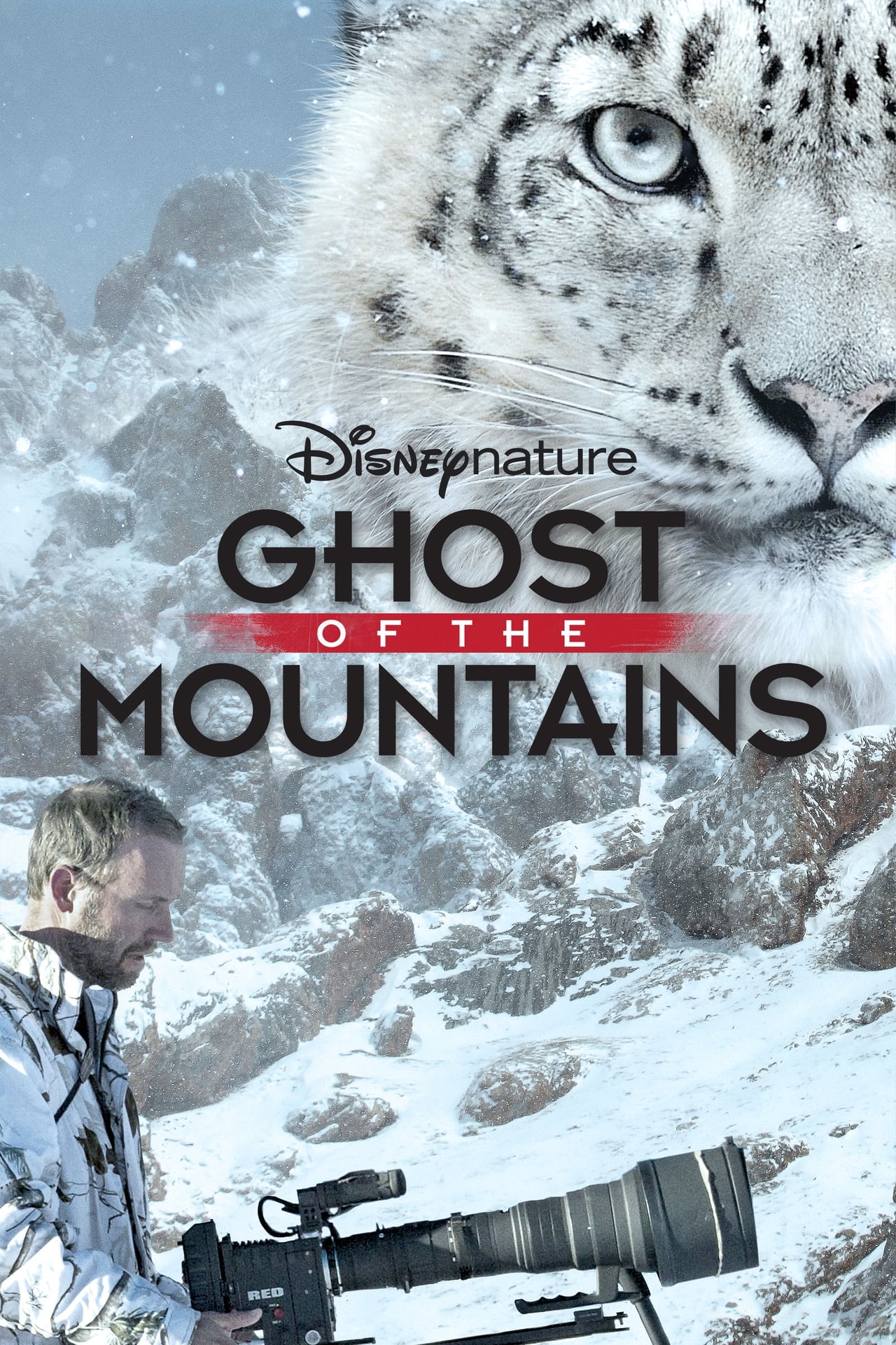 Ghost of the Mountains (2017) 256Kbps 23.976Fps 48Khz 5.1Ch Disney+ DD+ E-AC3 Turkish Audio TAC