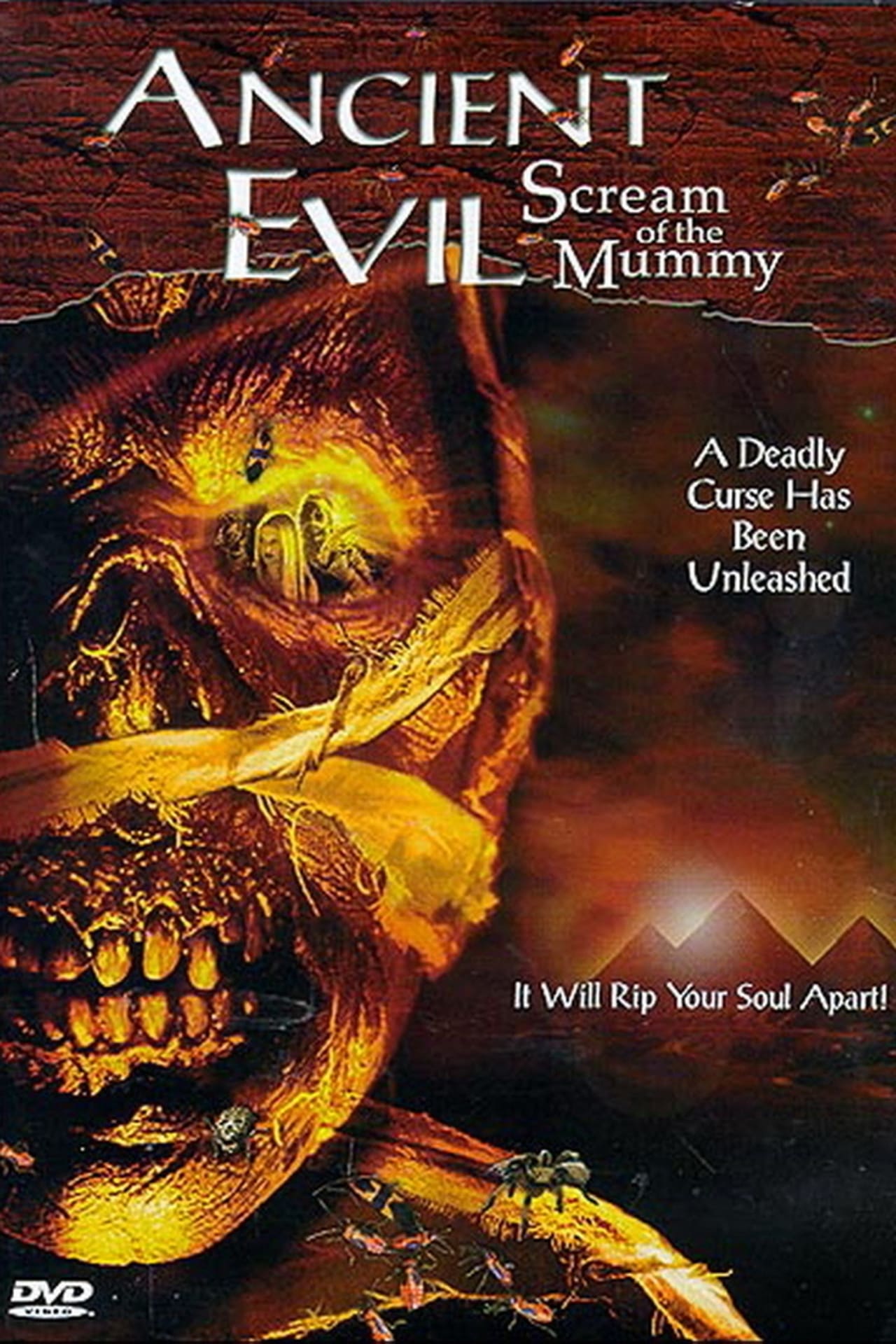 Ancient Evil: Scream of the Mummy (2000) 192Kbps 25Fps 48Khz 2.0Ch DVD Turkish Audio TAC