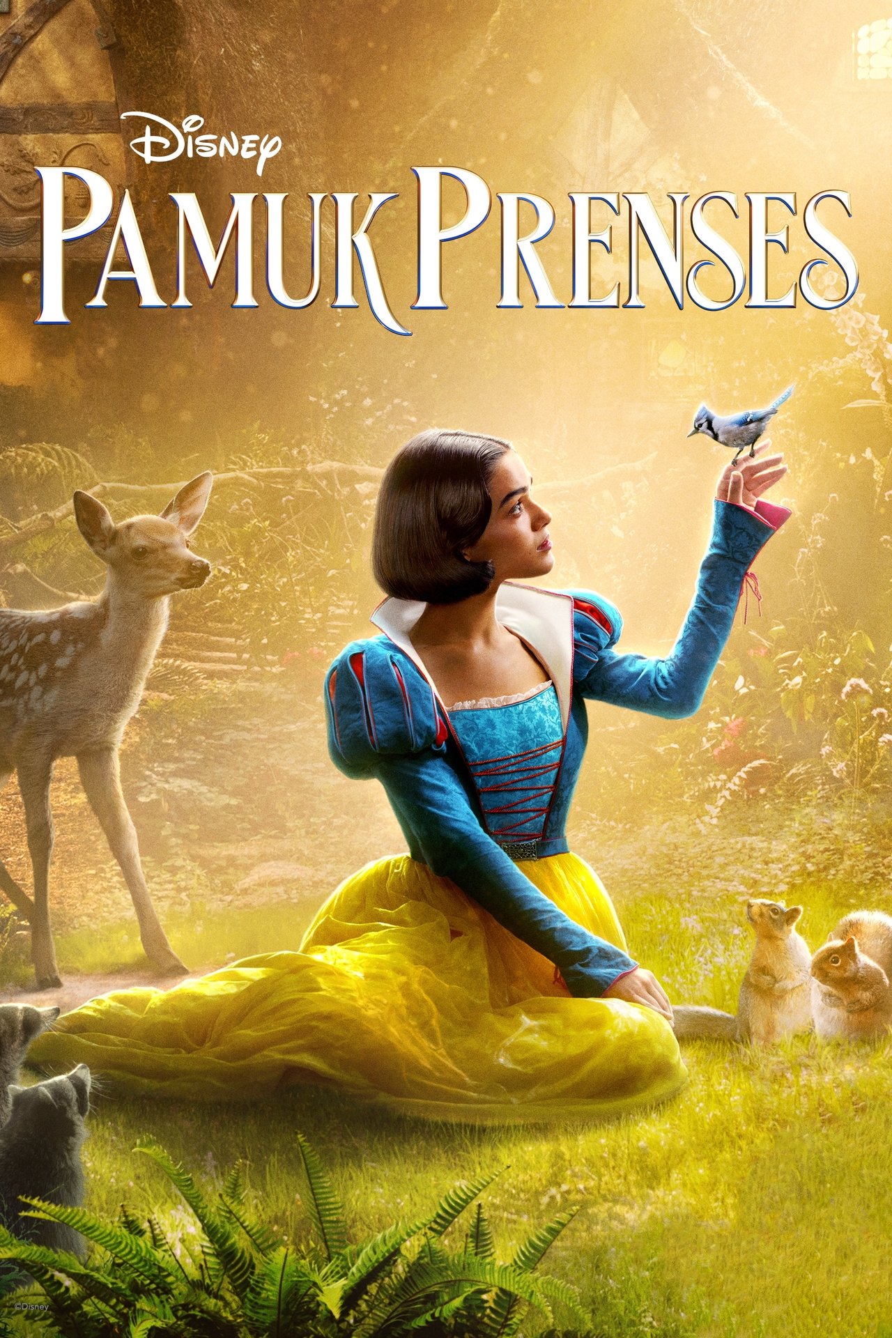 Snow White (2025) 256Kbps 24Fps 48Khz 5.1Ch Disney+ DD+ E-AC3 Turkish Audio TAC