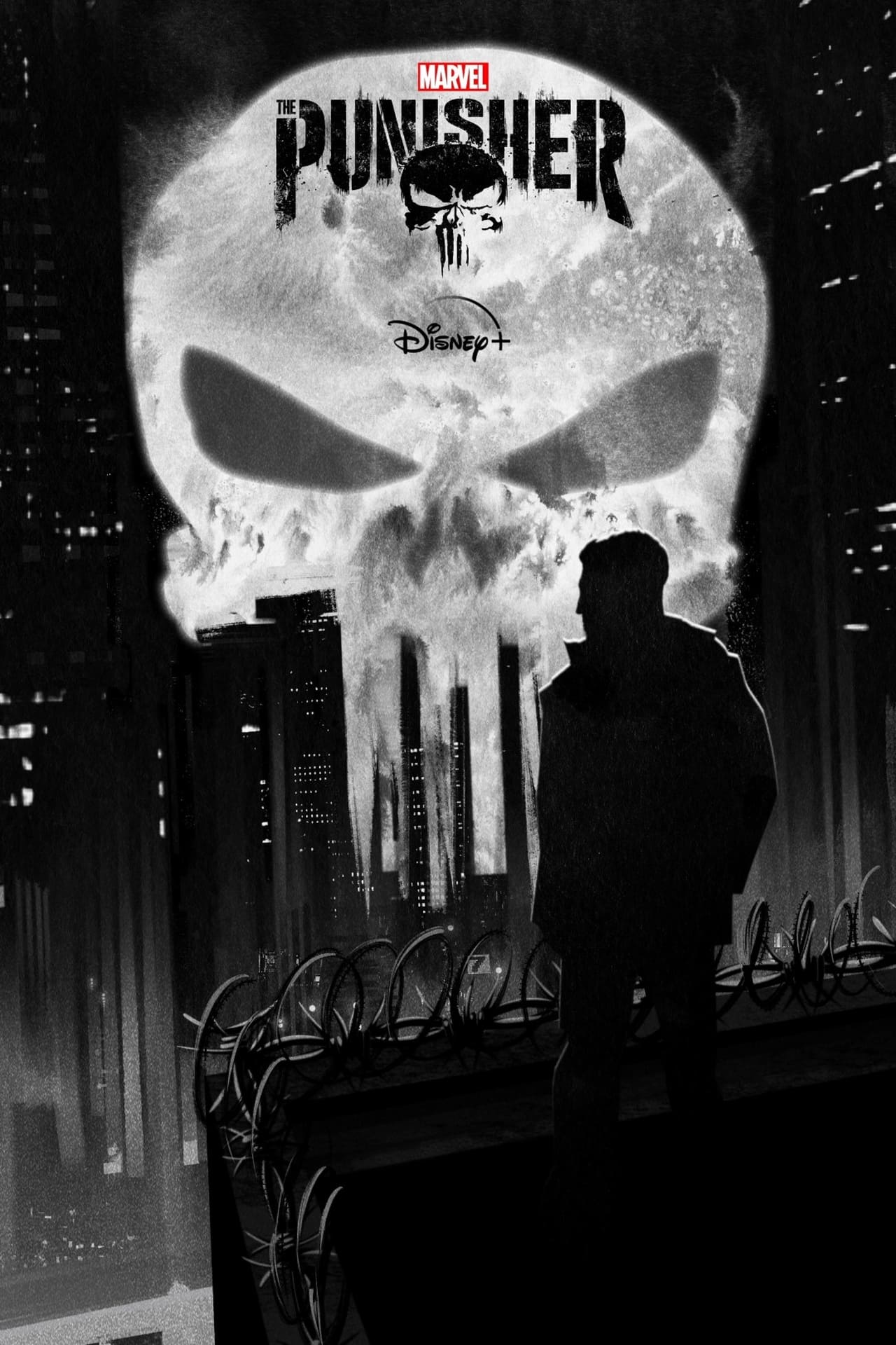 The Punisher (2019) S2 EP01&EP13 256Kbps 23.976Fps 48Khz 5.1Ch Disney+ DD+ E-AC3 Turkish Audio TAC