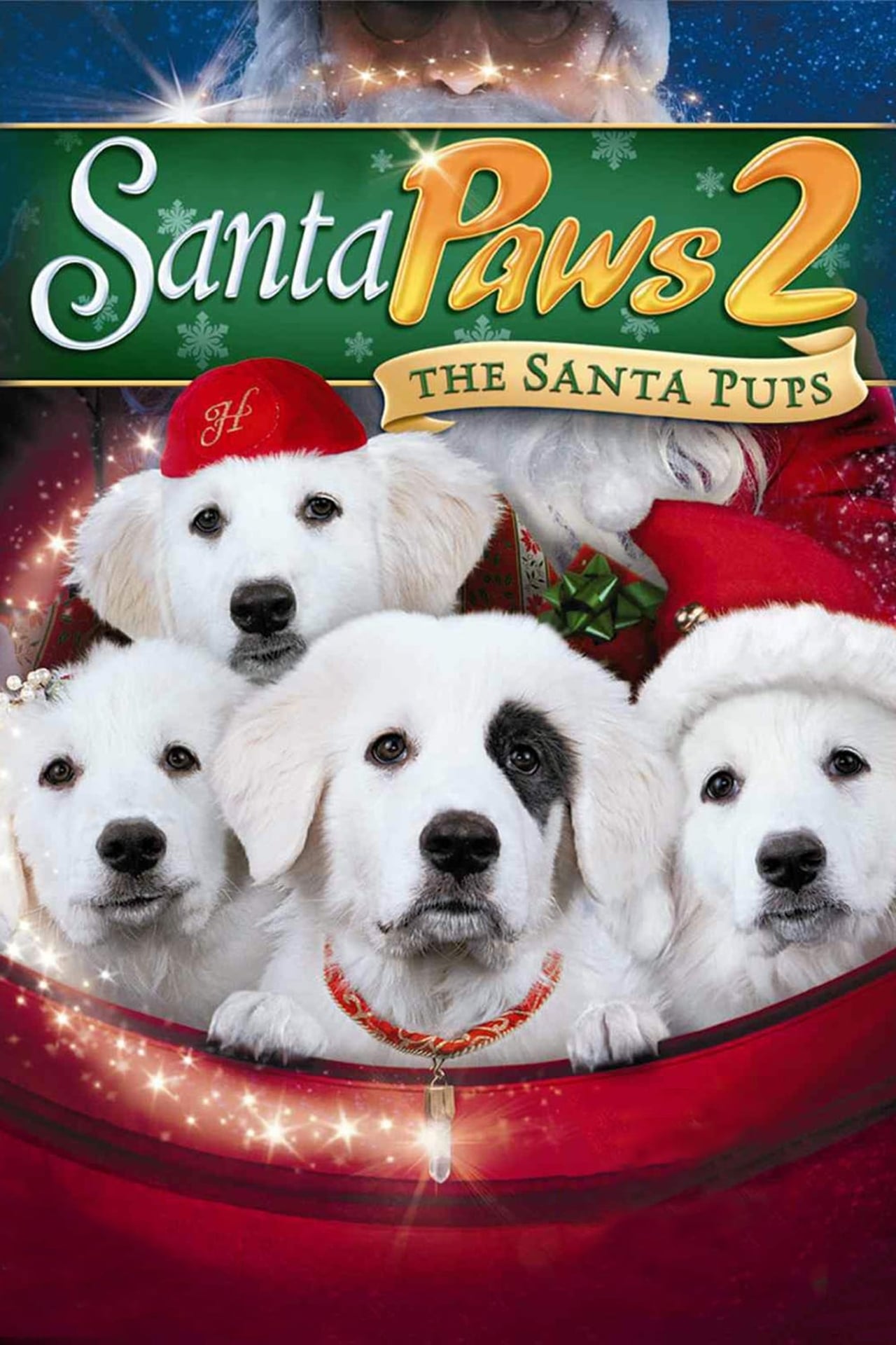 Santa Paws 2: The Santa Pups (2012) 256Kbps 23.976Fps 48Khz 5.1Ch Disney+ DD+ E-AC3 Turkish Audio TAC