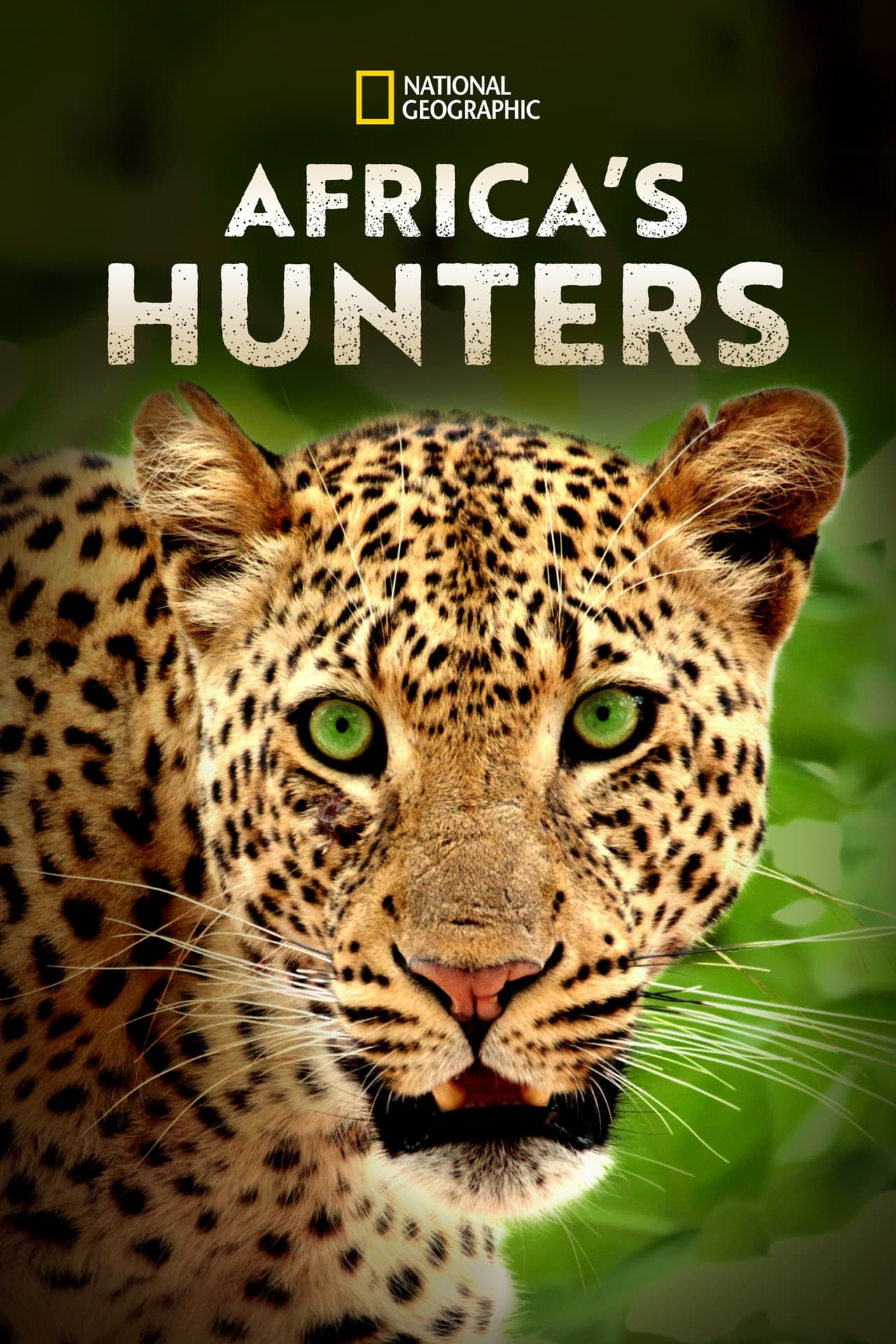 Africa's Hunters (2018) S2 EP01&EP06 128Kbps 23.976Fps 48Khz 2.0Ch Disney+ DD+ E-AC3 Turkish Audio TAC