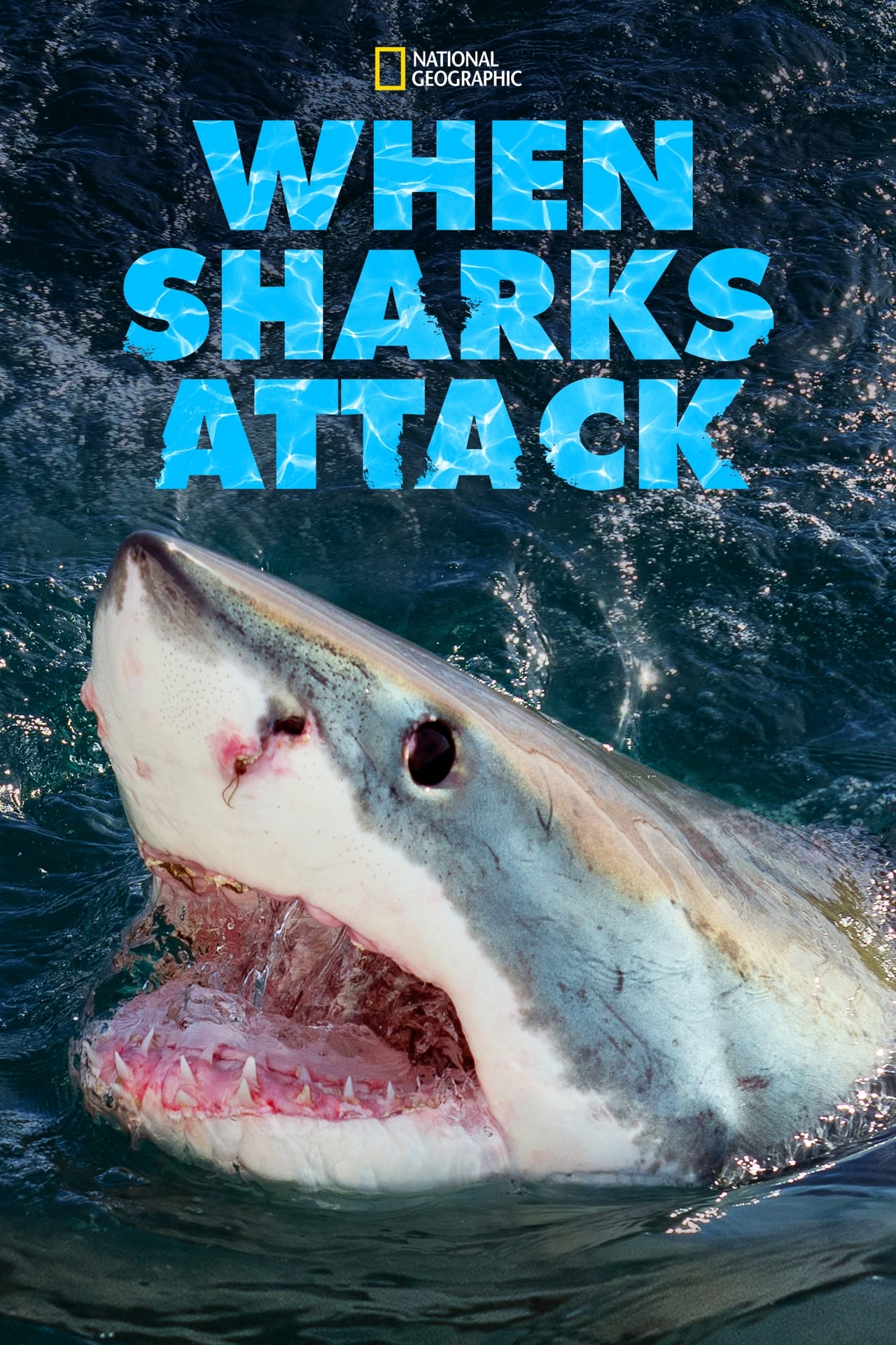 When Sharks Attack (2019) S5 EP01&EP10 128Kbps 29.970Fps 48Khz 2.0Ch Disney+ DD+ E-AC3 Turkish Audio TAC