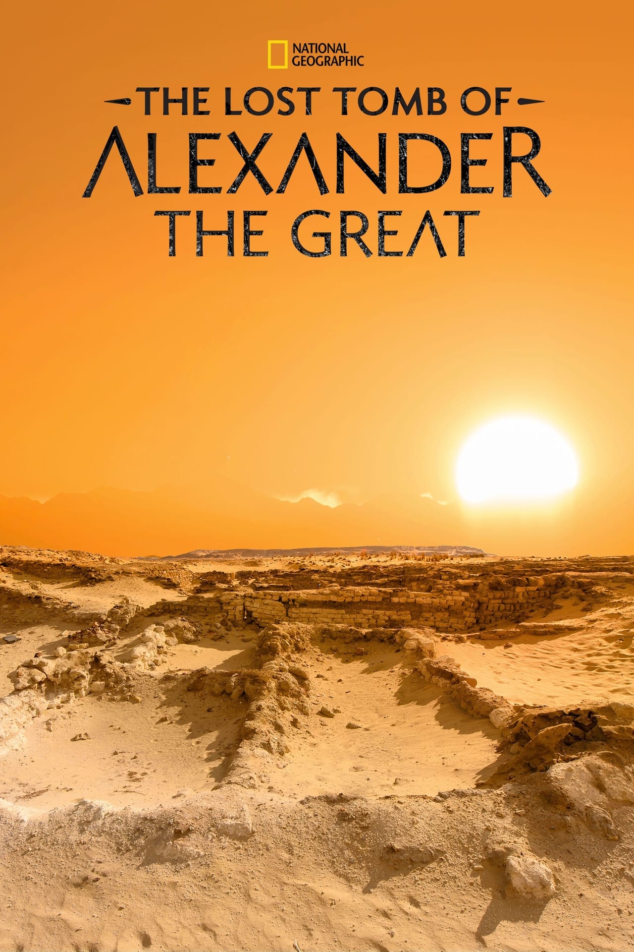 The Lost Tomb of Alexander the Great (2019) 128Kbps 25Fps 48Khz 2.0Ch Disney+ DD+ E-AC3 Turkish Audio TAC