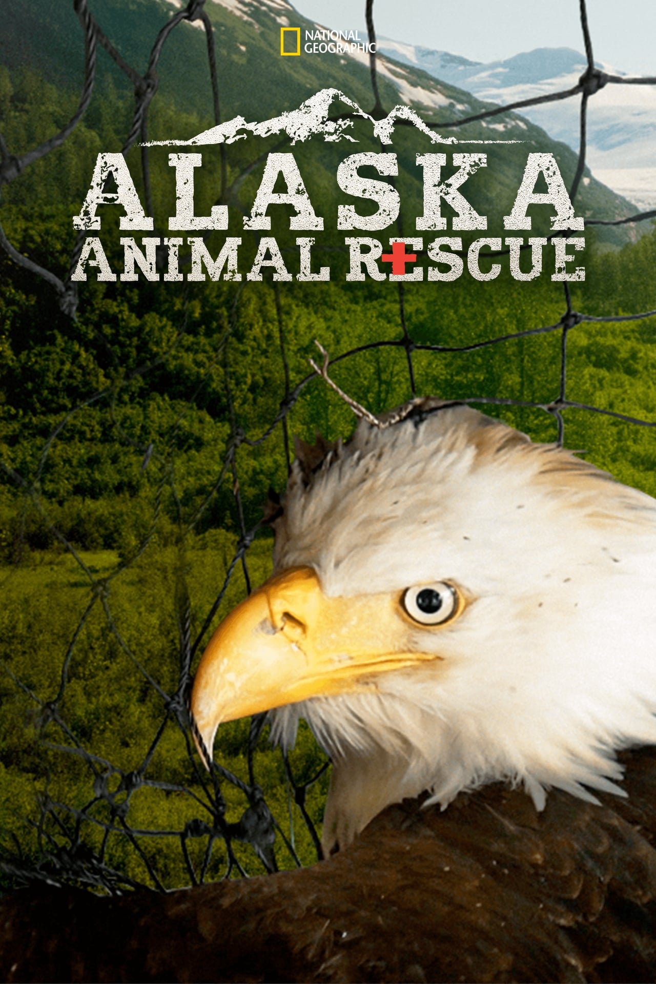 Alaska Animal Rescue (2020) S1 EP01&EP06 128Kbps 29.970Fps 48Khz 2.0Ch Disney+ DD+ E-AC3 Turkish Audio TAC