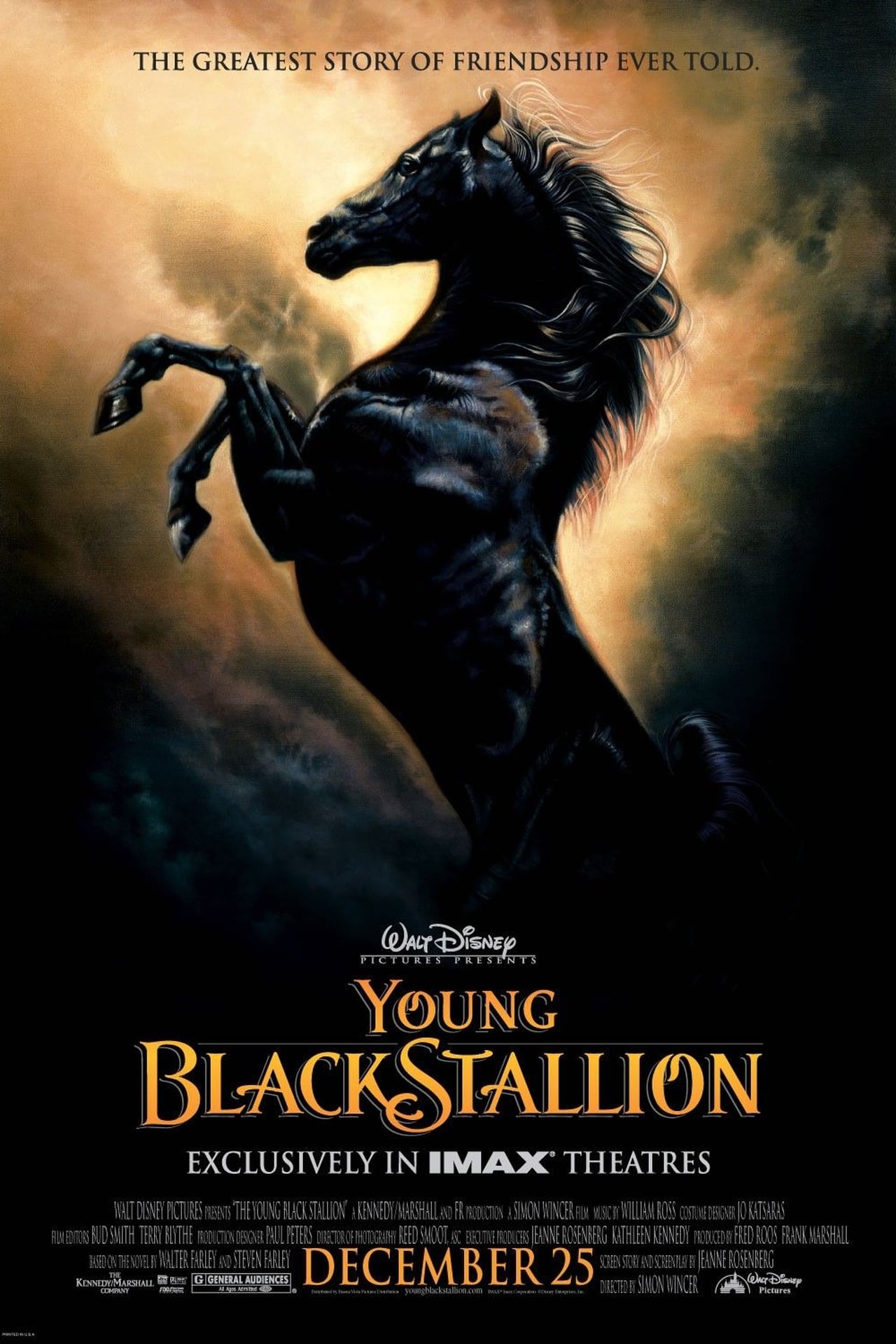 The Young Black Stallion (2003) 256Kbps 23.976Fps 48Khz 5.1Ch Disney+ DD+ E-AC3 Turkish Audio TAC