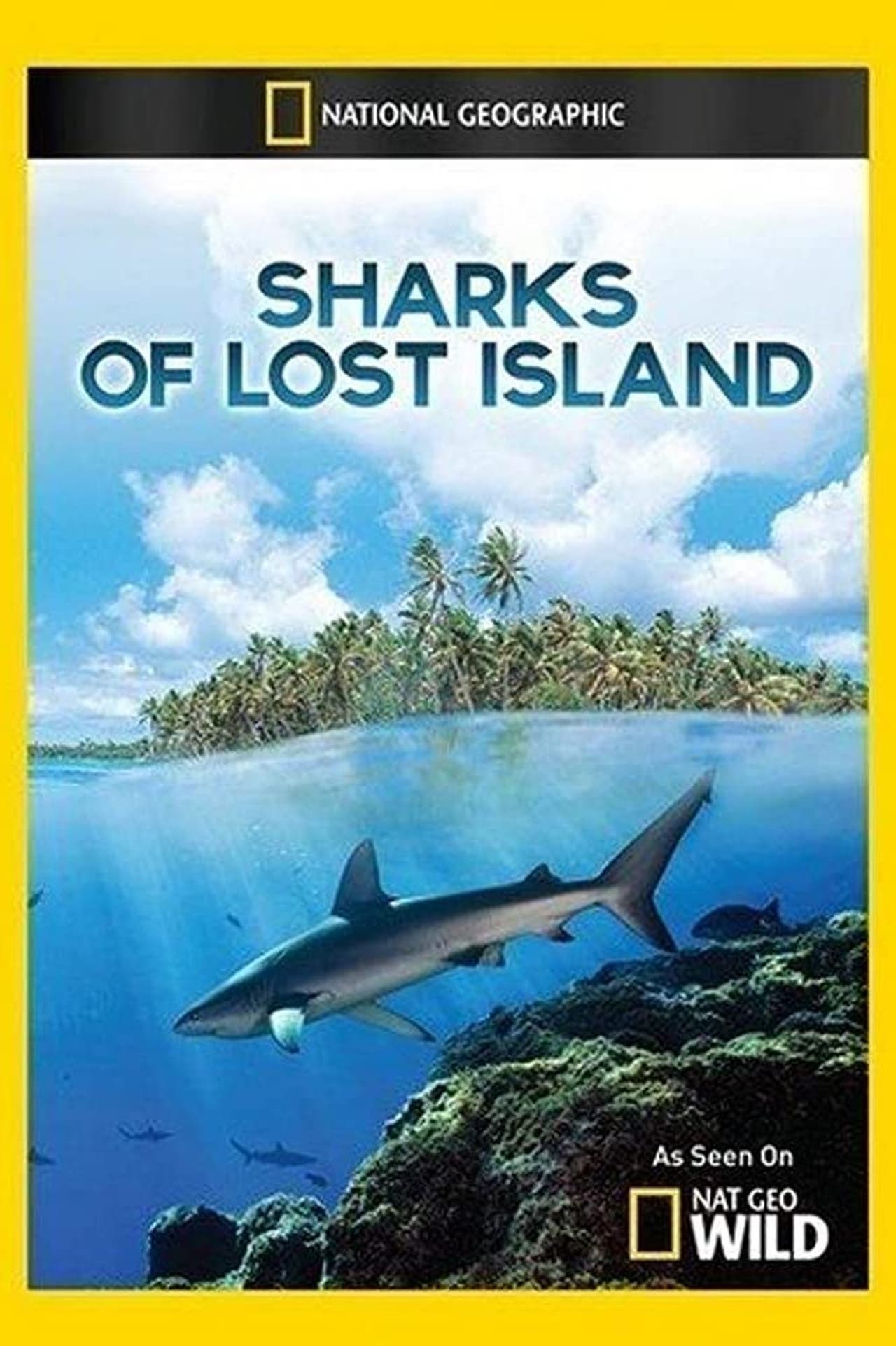 Sharks of Lost Island (2013) 128Kbps 29.970Fps 48Khz 2.0Ch Disney+ DD+ E-AC3 Turkish Audio TAC