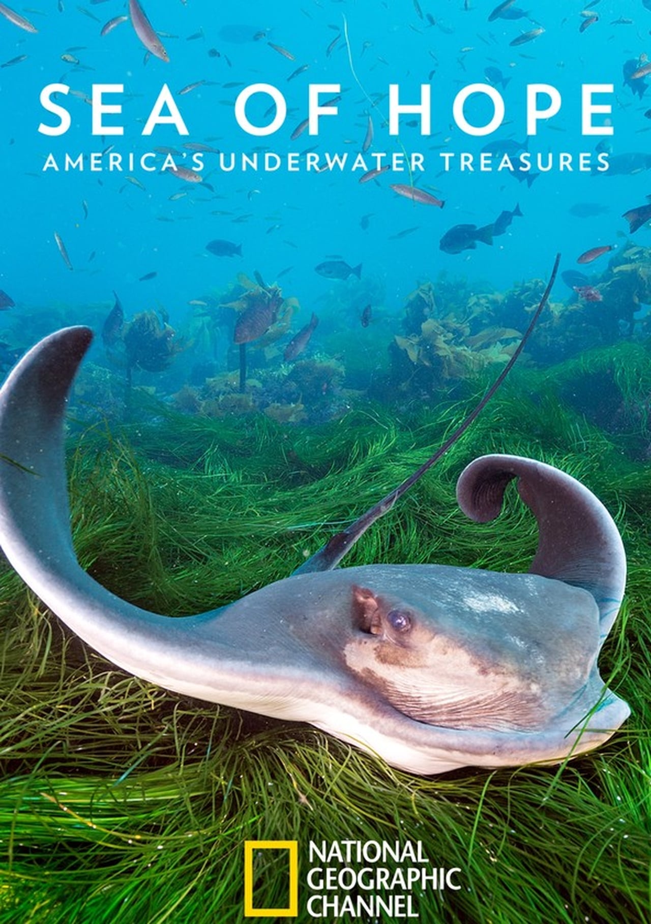 Sea of Hope: America's Underwater Treasures (2017) 128Kbps 23.976Fps 48Khz 2.0Ch Disney+ DD+ E-AC3 Turkish Audio TAC