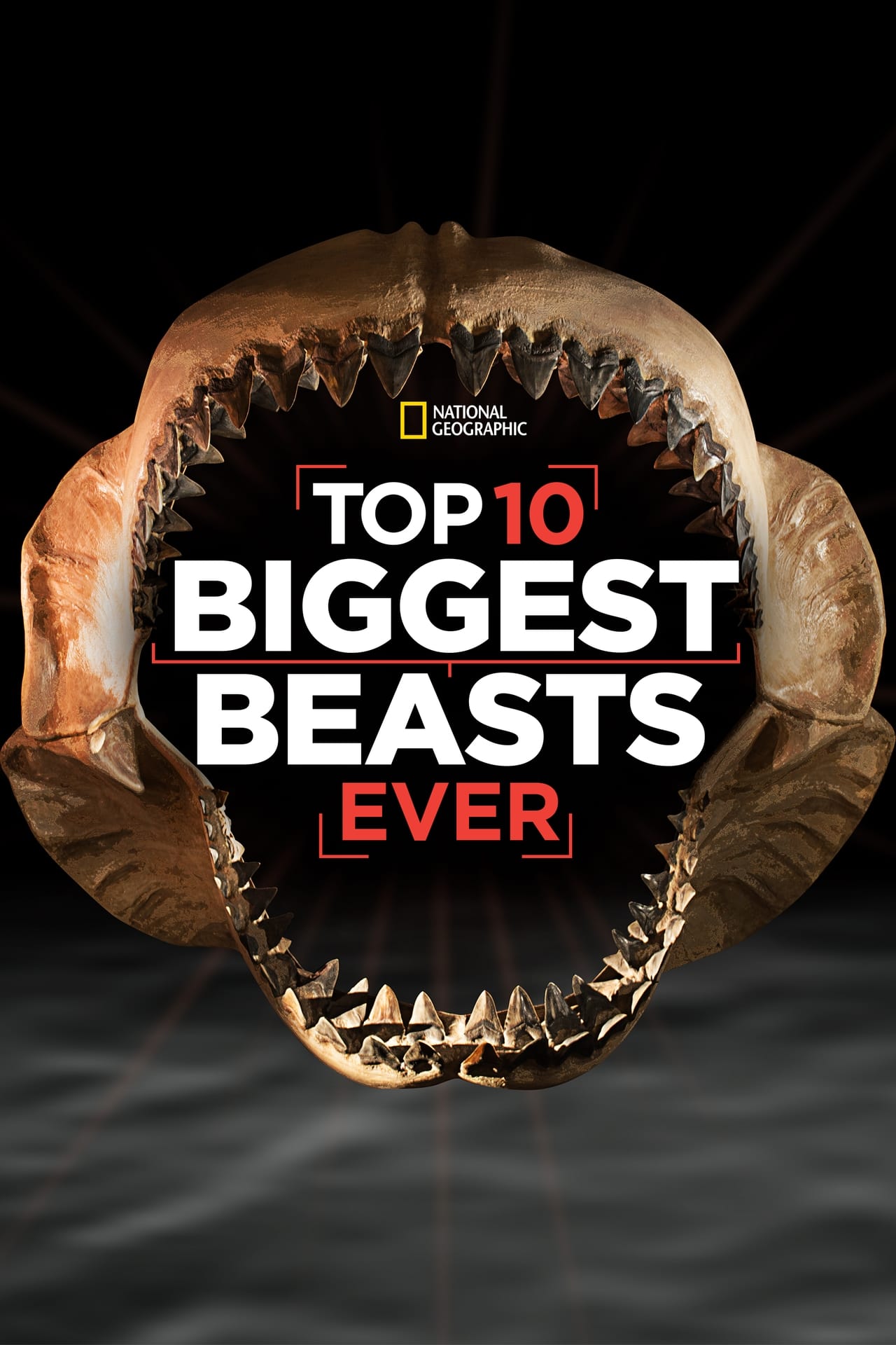 Top 10 Biggest Beasts Ever (2015) 128Kbps 25Fps 48Khz 2.0Ch Disney+ DD+ E-AC3 Turkish Audio TAC